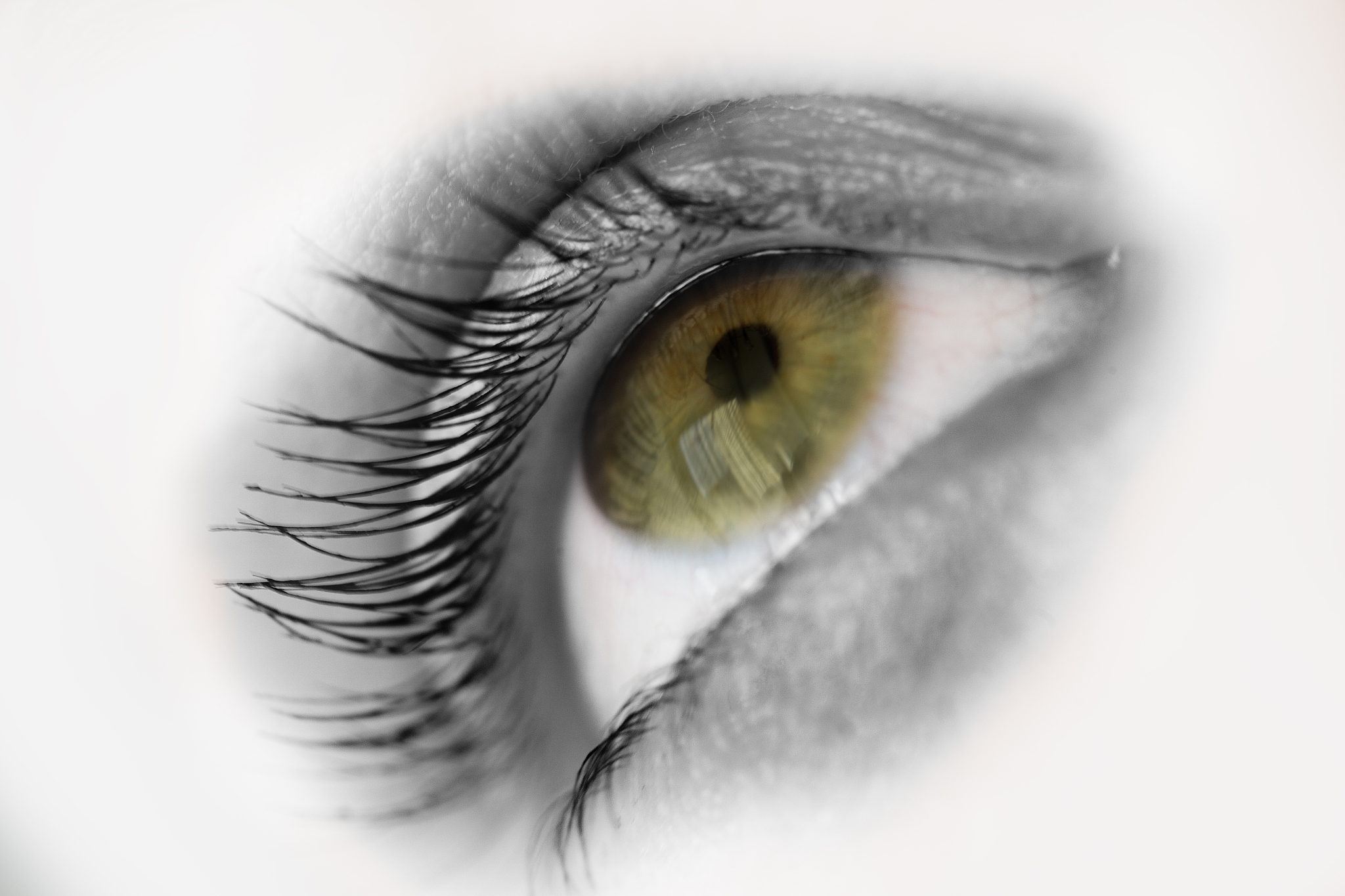 eye close-up