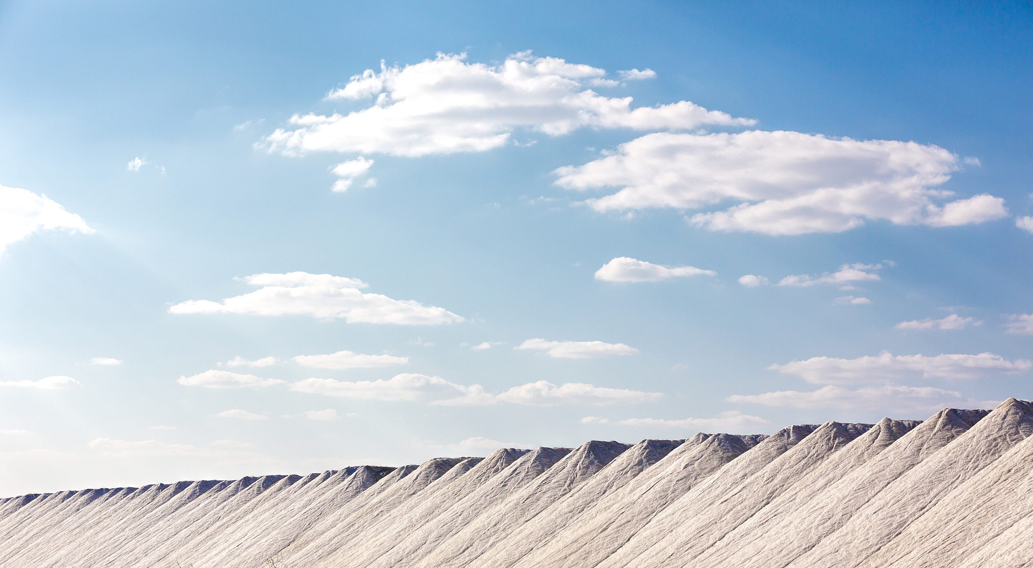 江西盐业公司是一家什么公司