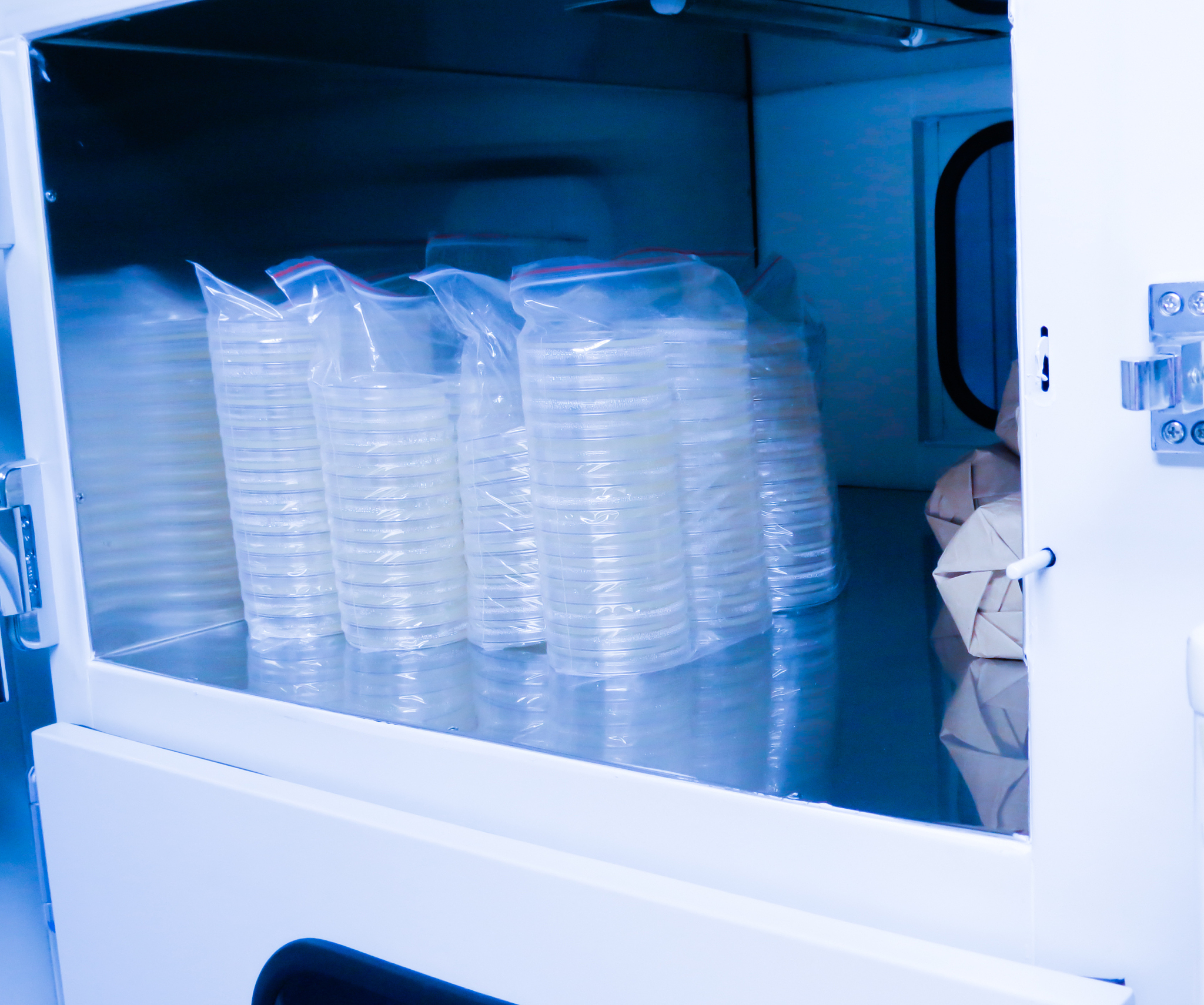 济南档案查询指南：个人档案、企业档案、行政机关档案查询方法