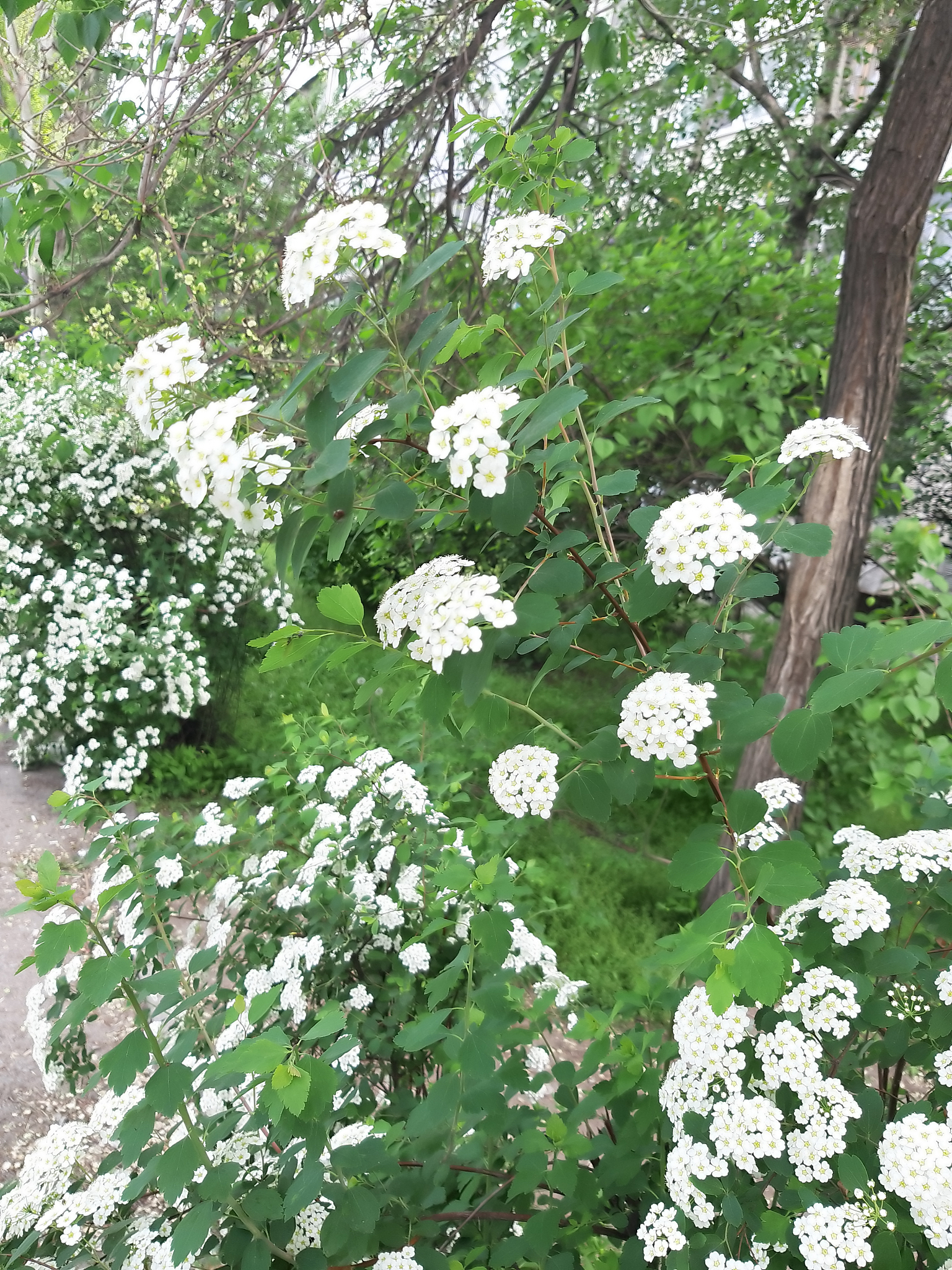 独特视角摄影：打破常规，玩转艺术表达！