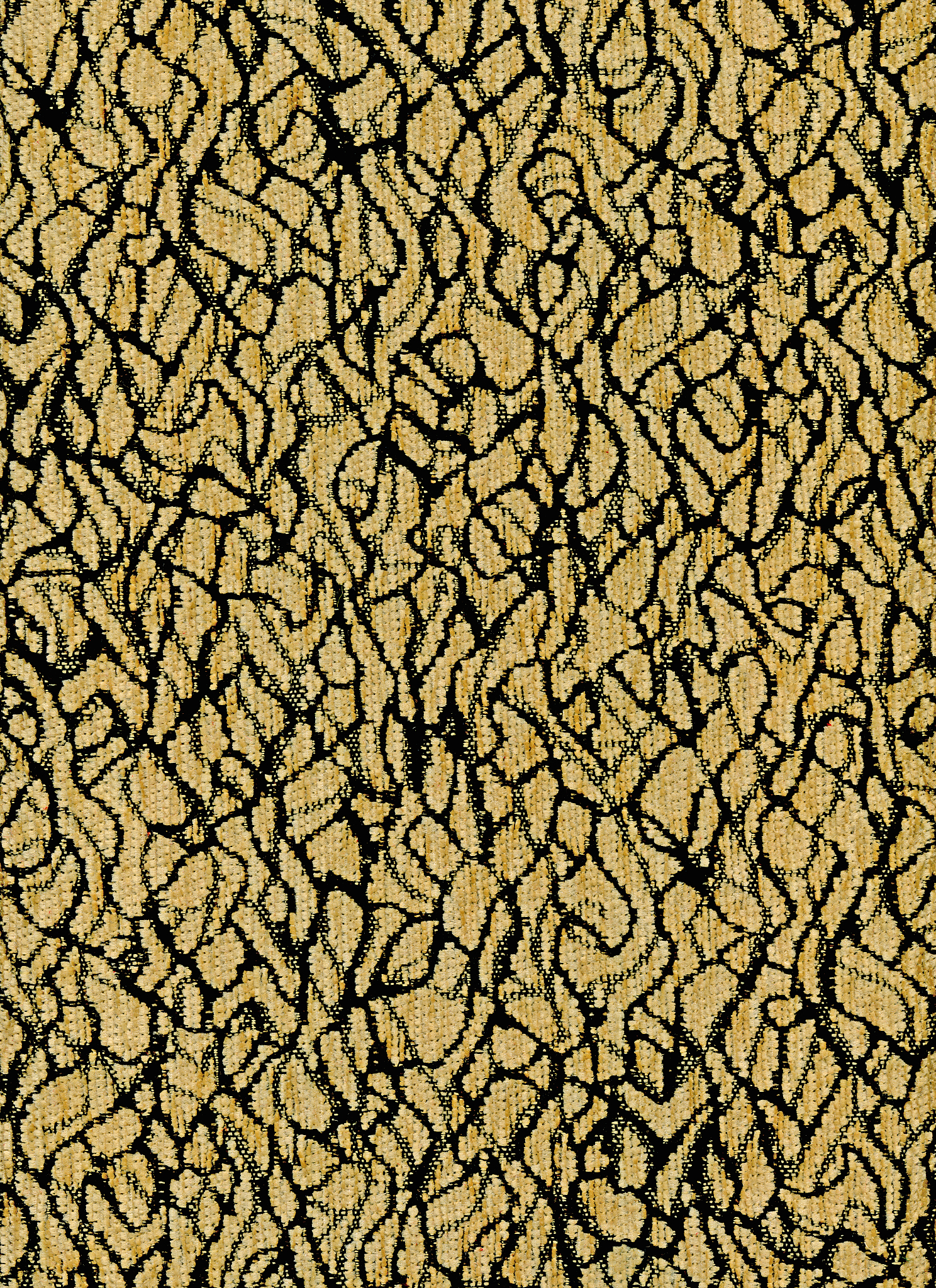 纹理定义：物体表面特征的解析