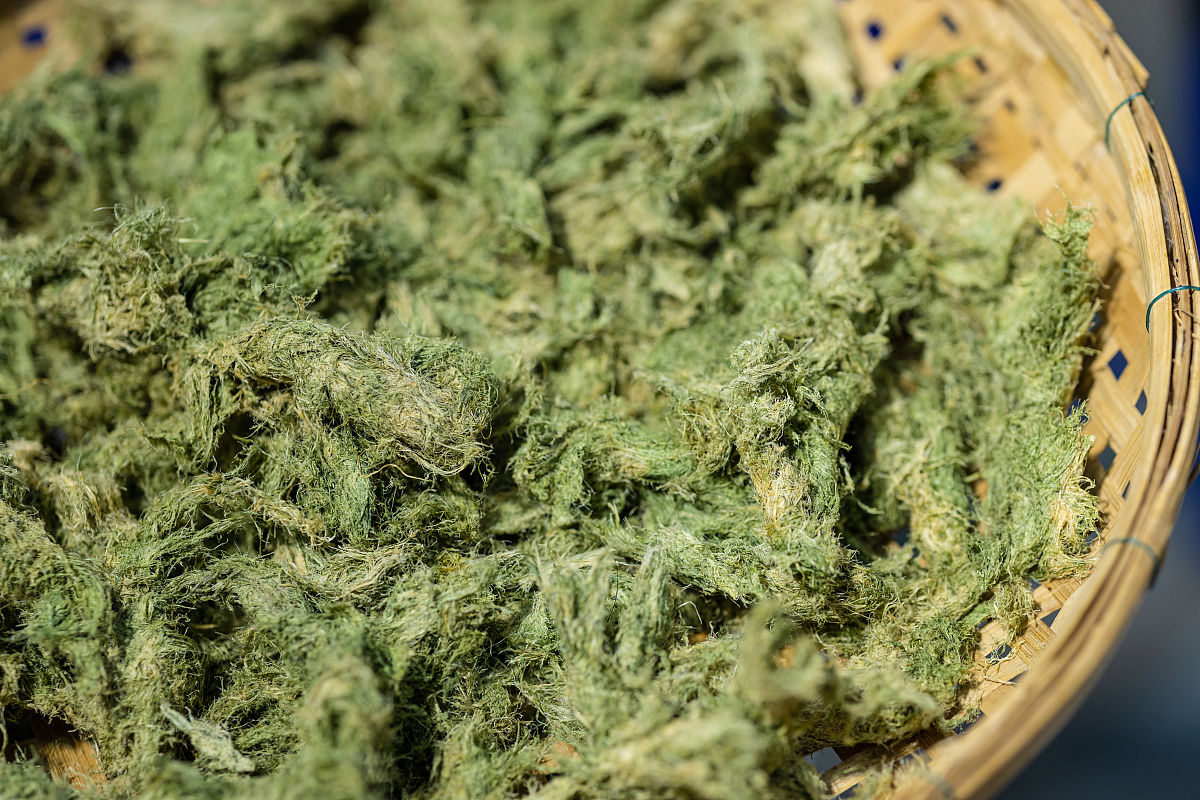 详述芒属植物纤维素的利用