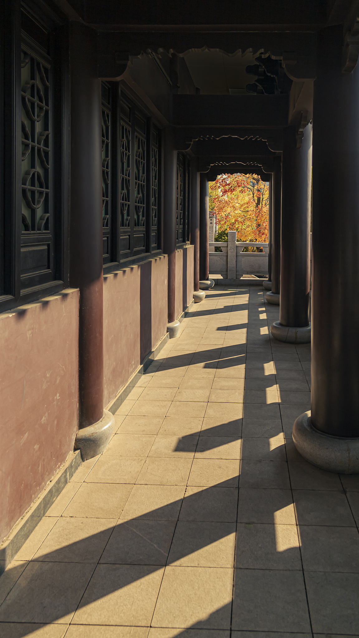 学表演的出路我来告诉你