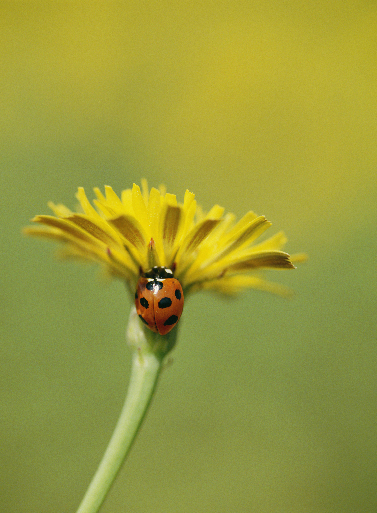绘画斗殴3D游戏更新日志
