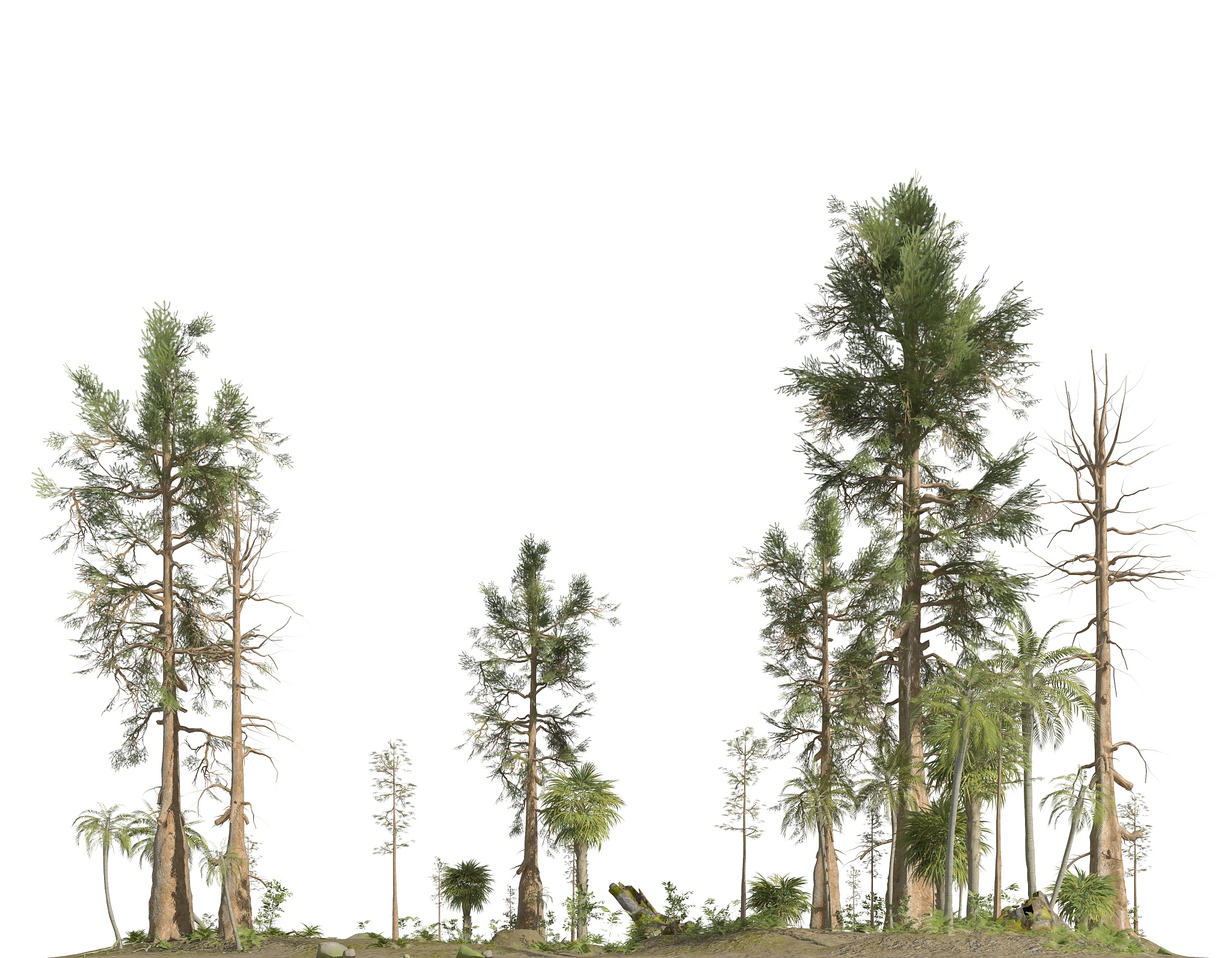 forest of the mesozoic era isolated on white background 3d illus