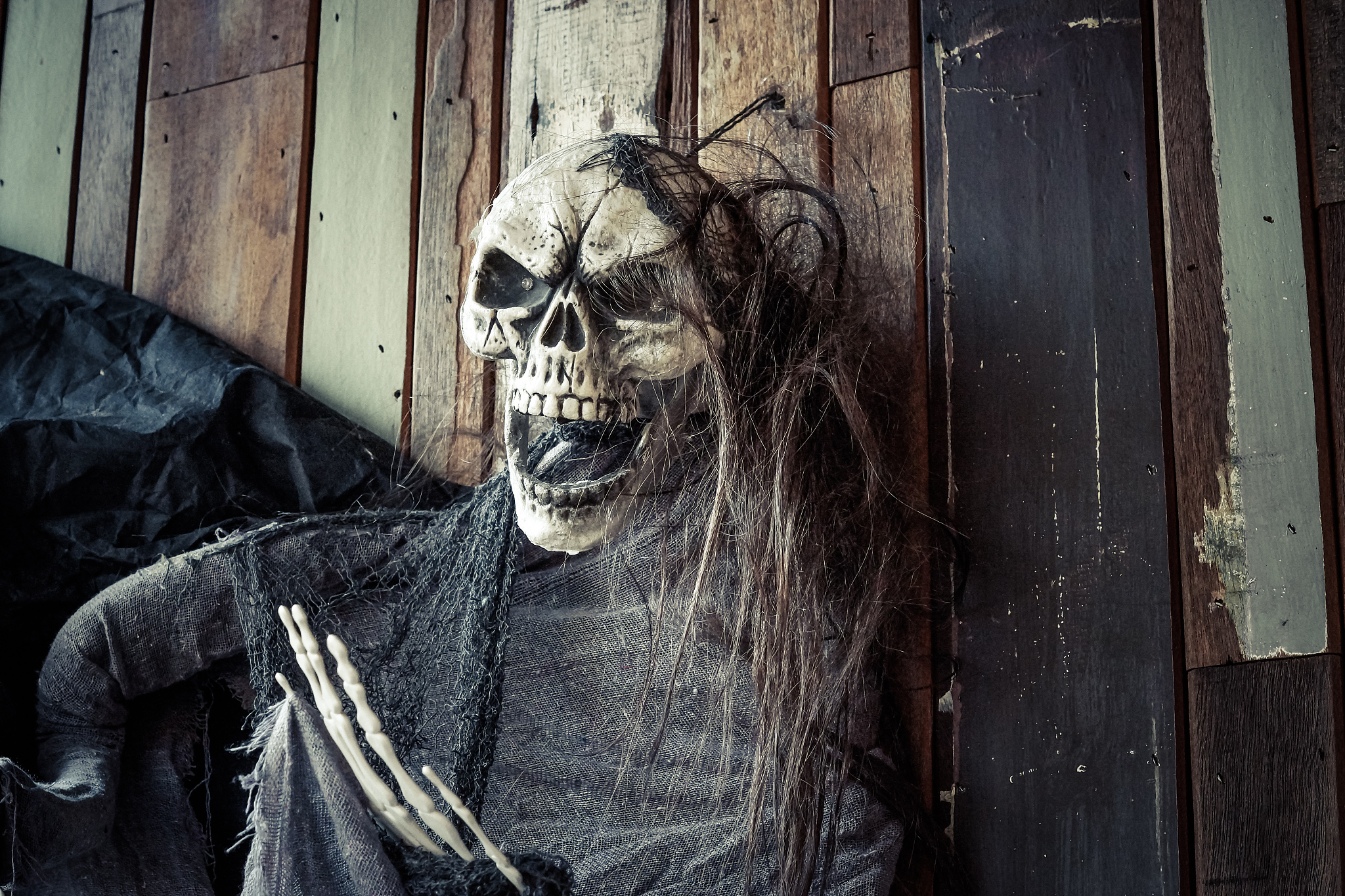 skeleton ghost