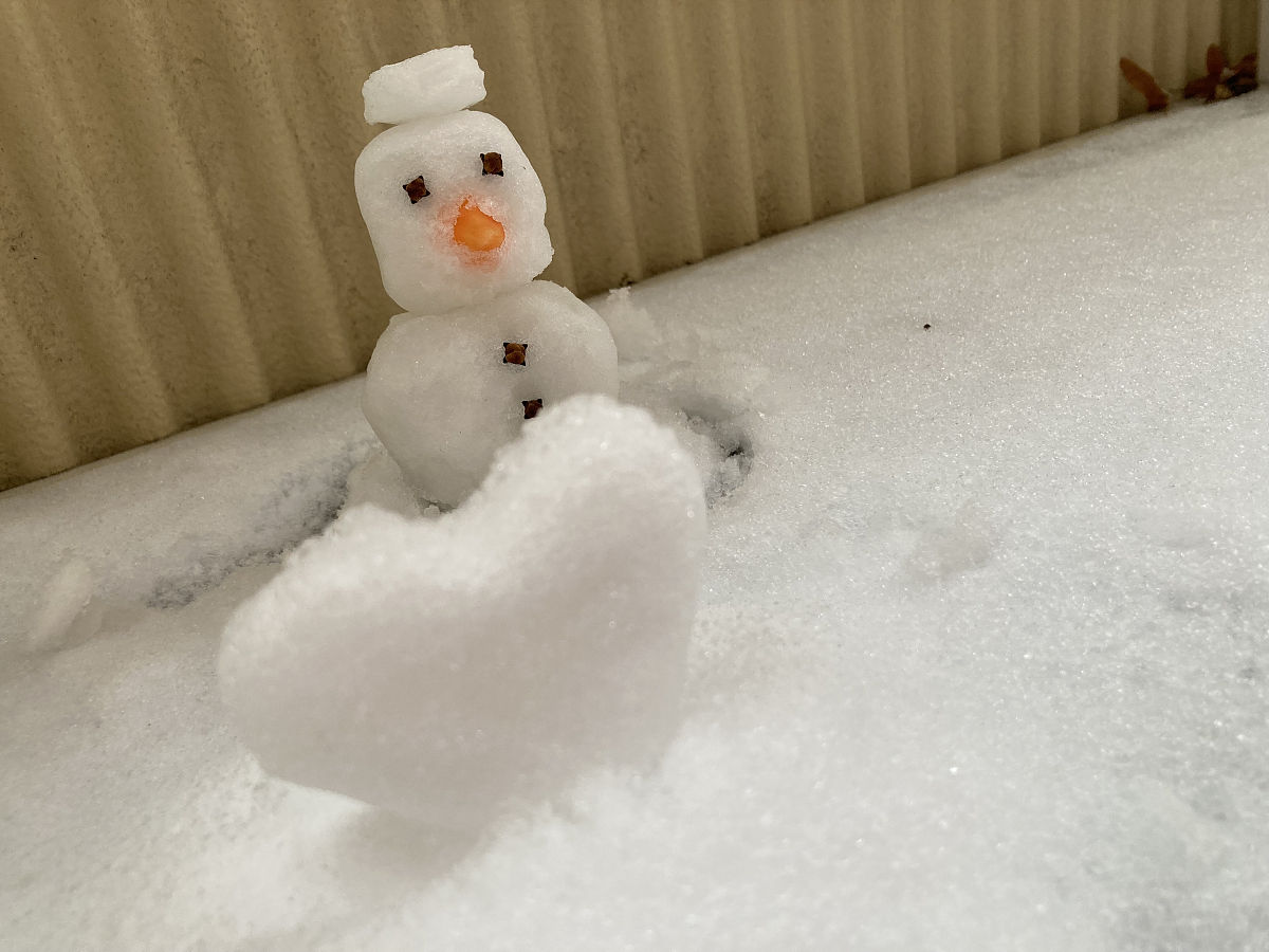 雪一位画家 写一篇300字小学作文