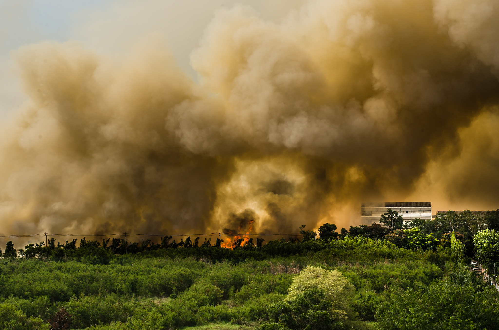 fire in the city overview.
