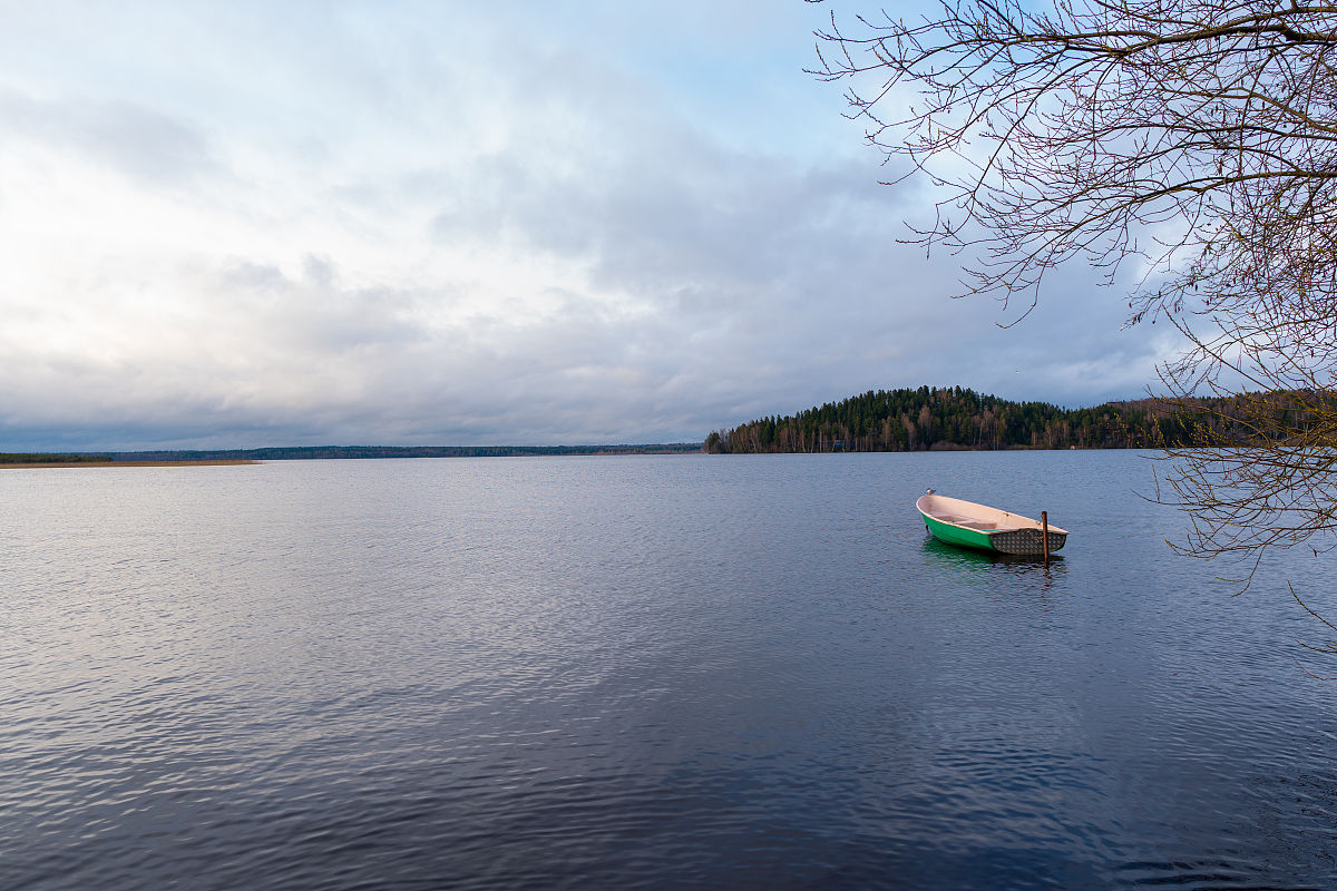 Please proofread and polish the following text from an academic perspective to make it more logical focused and informative：The Shizitan Reservoir is located in Changshou District Chongqing China 29 °