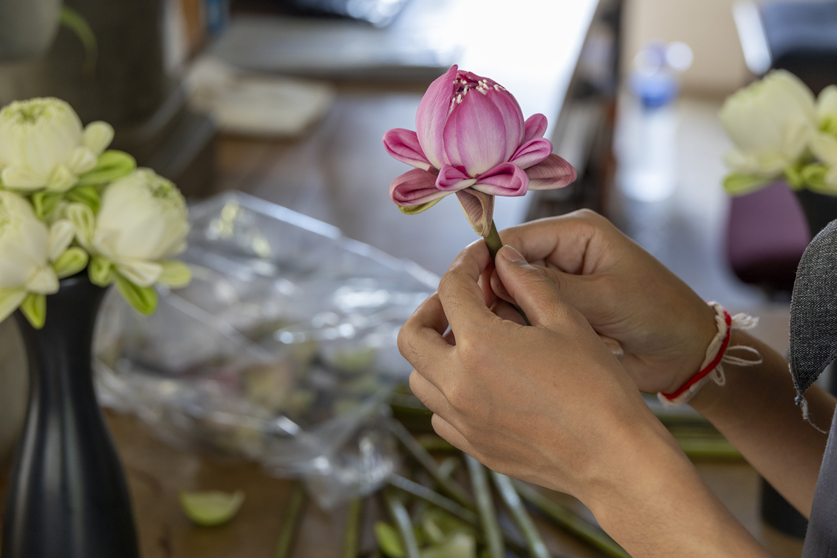 花枯萎怎么安慰