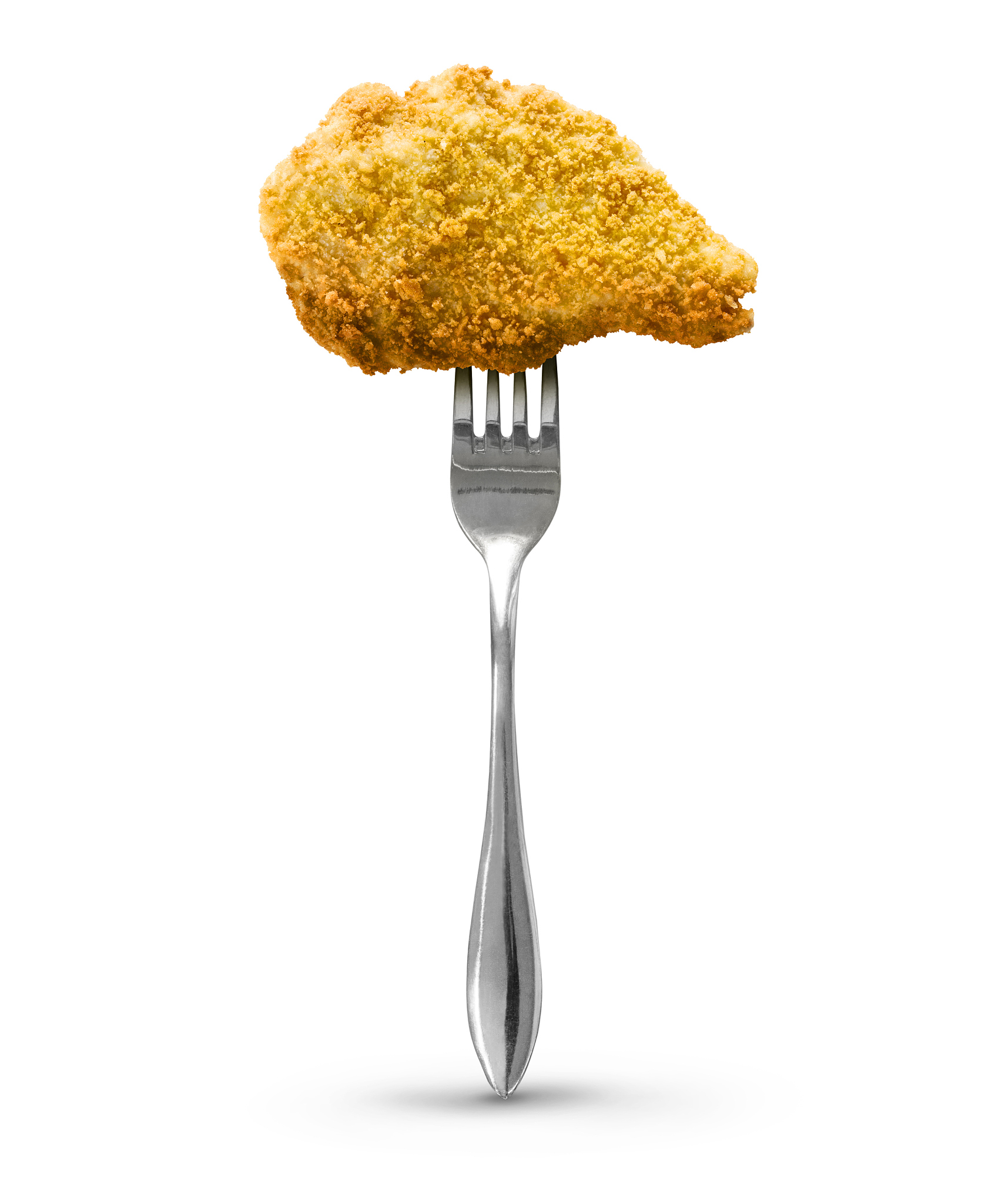 chicken fillet on fork