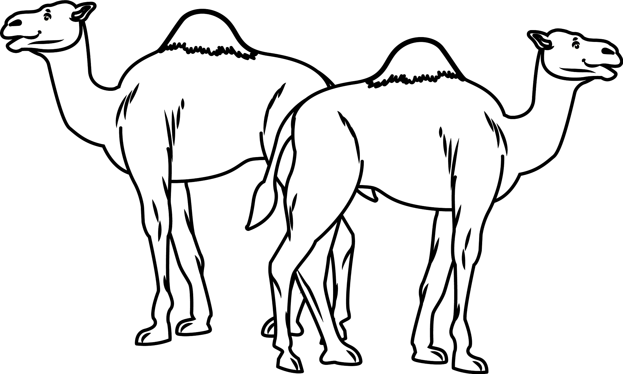 编写奶奶与骆驼玩耍的故事