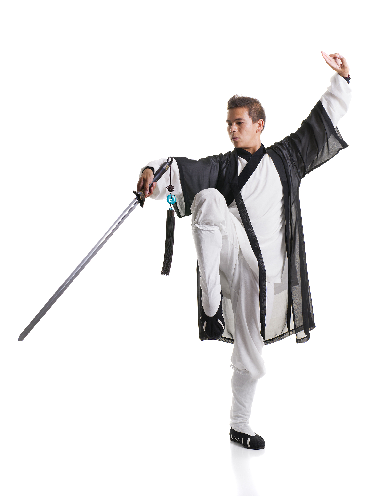 kung fu master