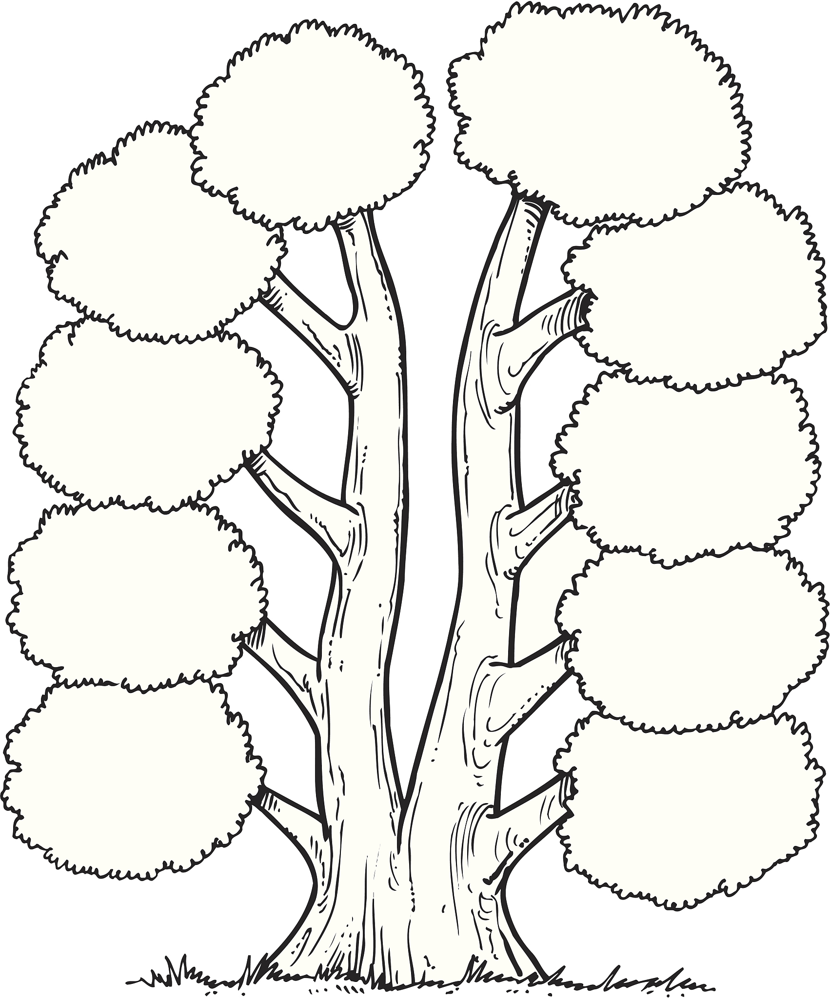 请完善以下教学设计：课题：认识身边的树教学内容：1了解树的基本结构特征、不同种类树的外形特点。初步了解树的生长规律以及相关科学知识。2观察分析树的外形及线条纹理的丰富变化运用不同的线条进行表现。3突出表现树的不同特征及姿态线条运用变化丰富、疏密得当。关键教学环节：1通过观察、体验、探究小组合作等活动引导学生在对比观察中感知大自然中树的生动姿态和优美线条探究线条运用的表现方法。