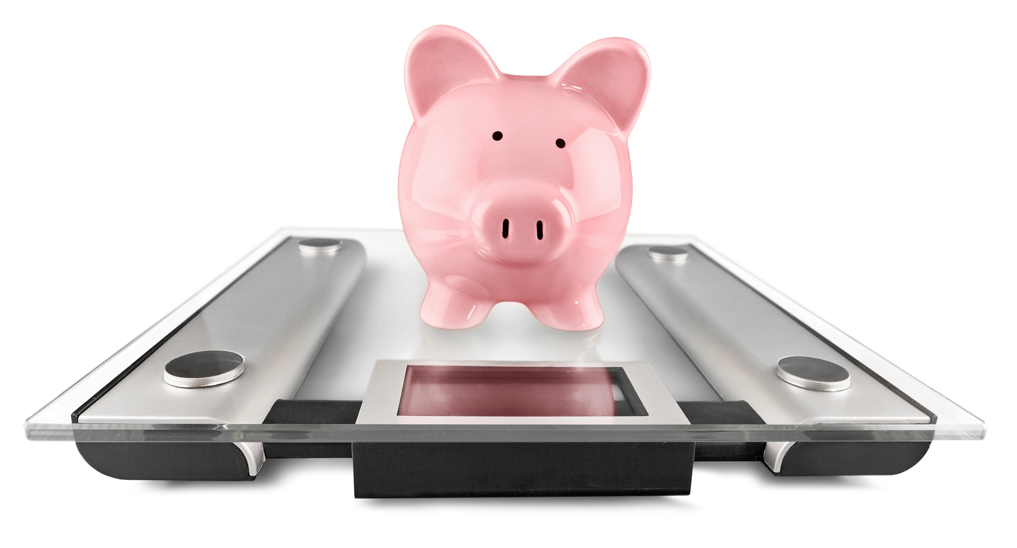 piggy bank