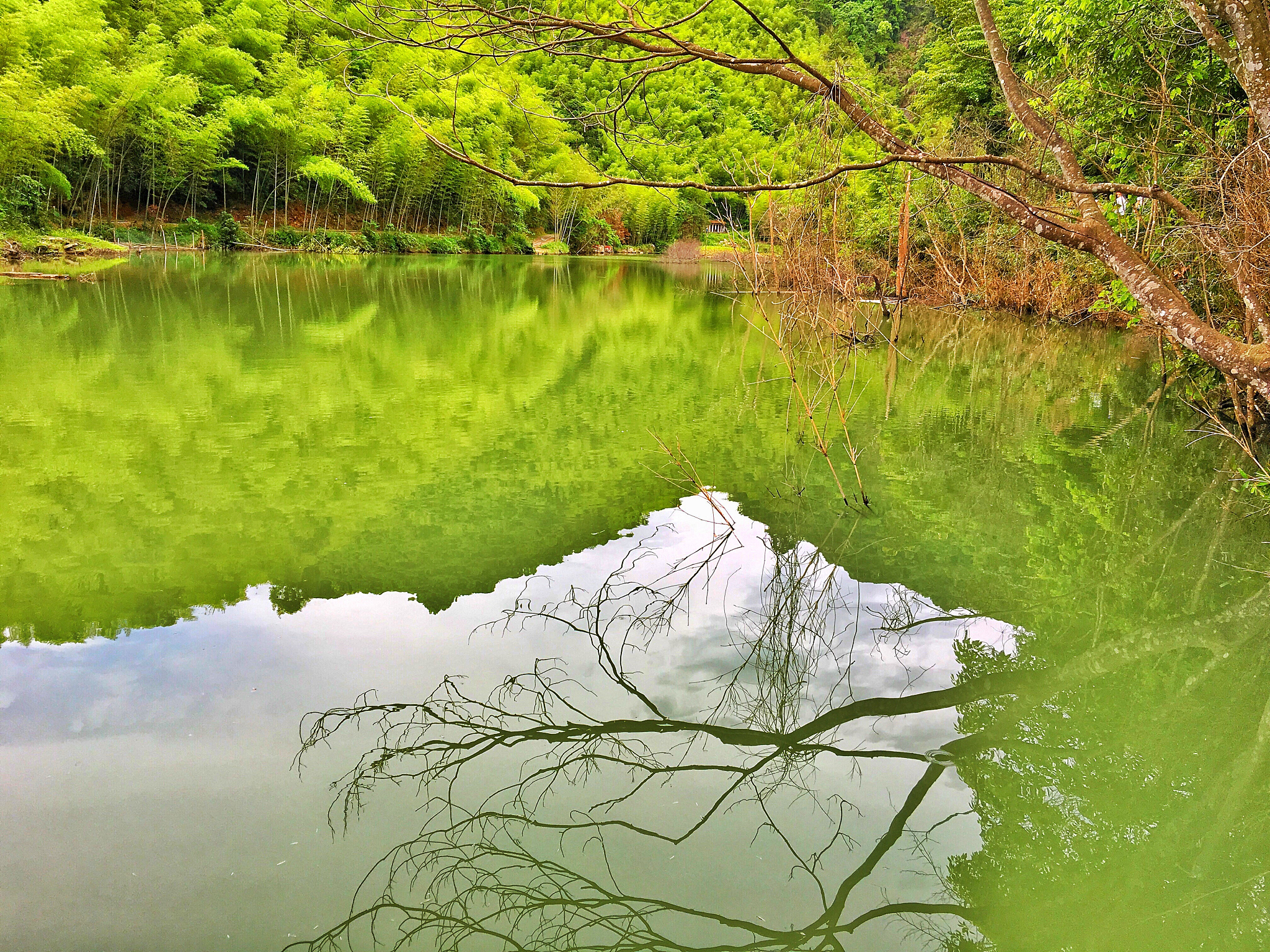 关于爱的诗歌：情感的河流，生命的真谛