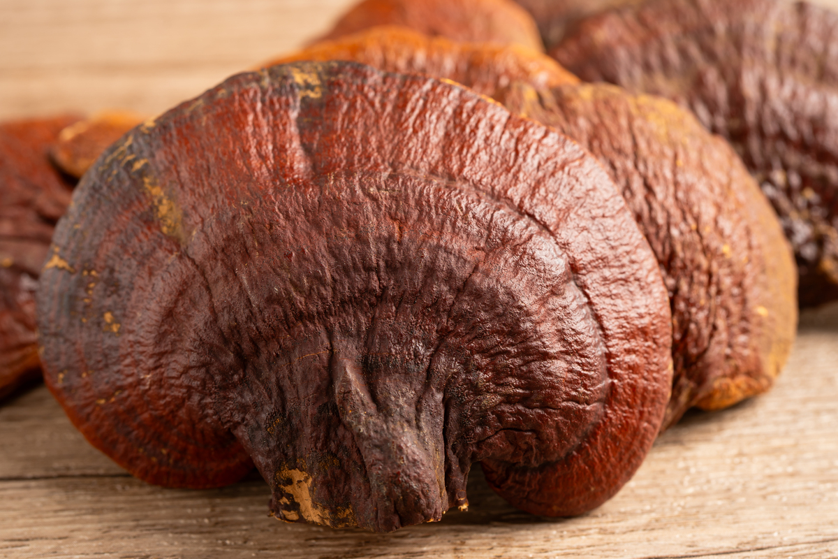 灵芝柔润护肤液有什么功效？