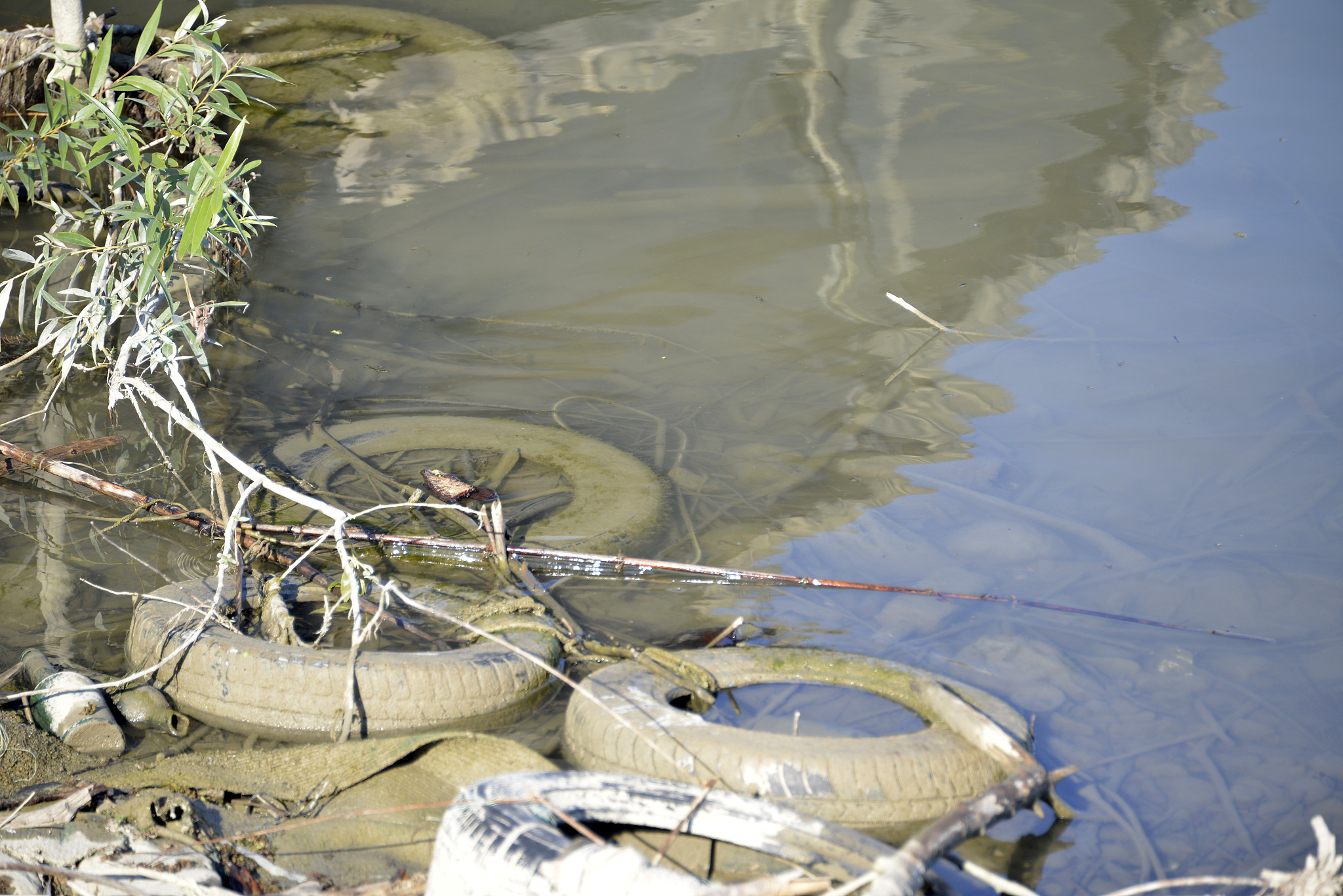 water pollution on the banks of the danube, the second largest r