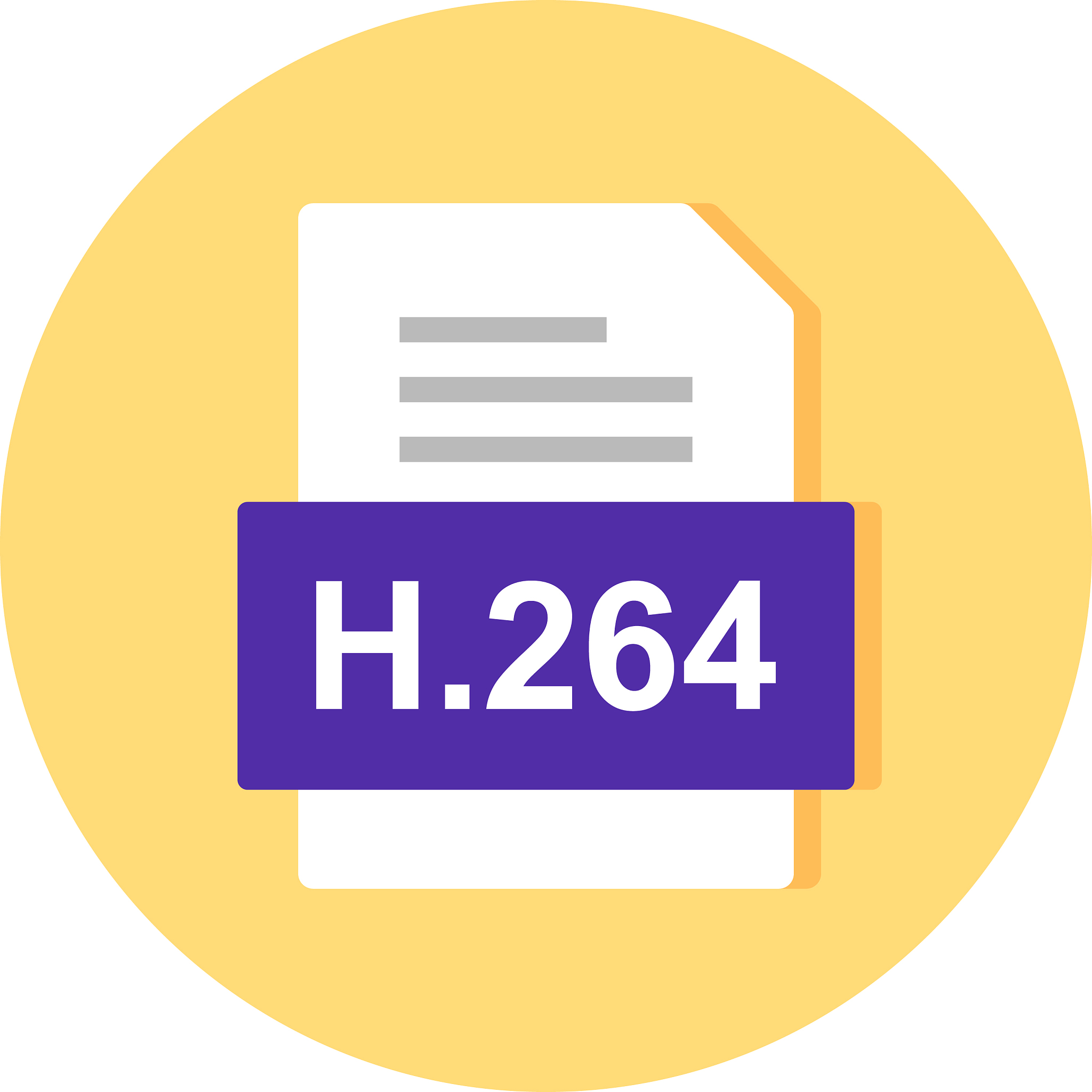 h264 file document icon