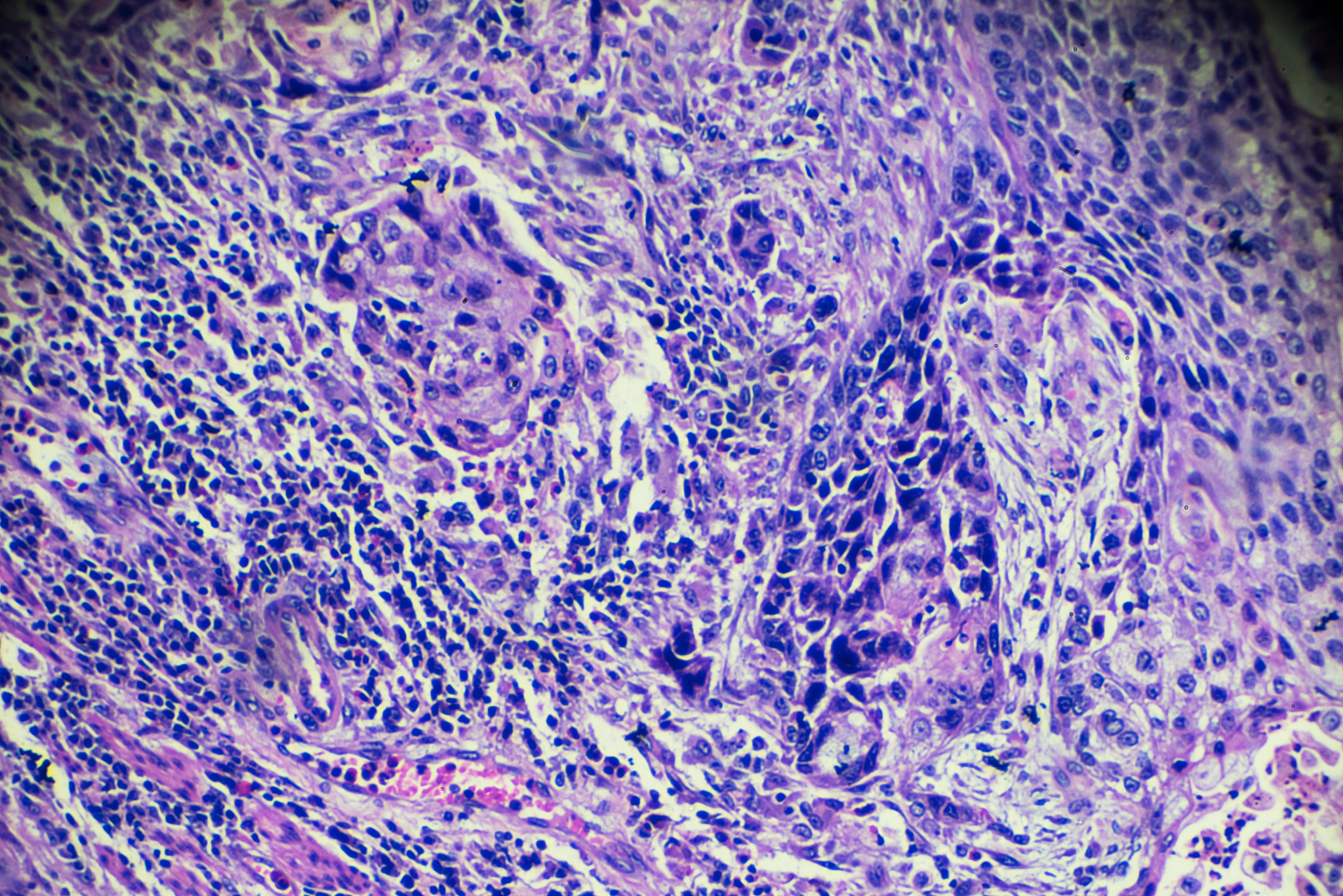 2022年九江学院医学院口腔医学专业招生