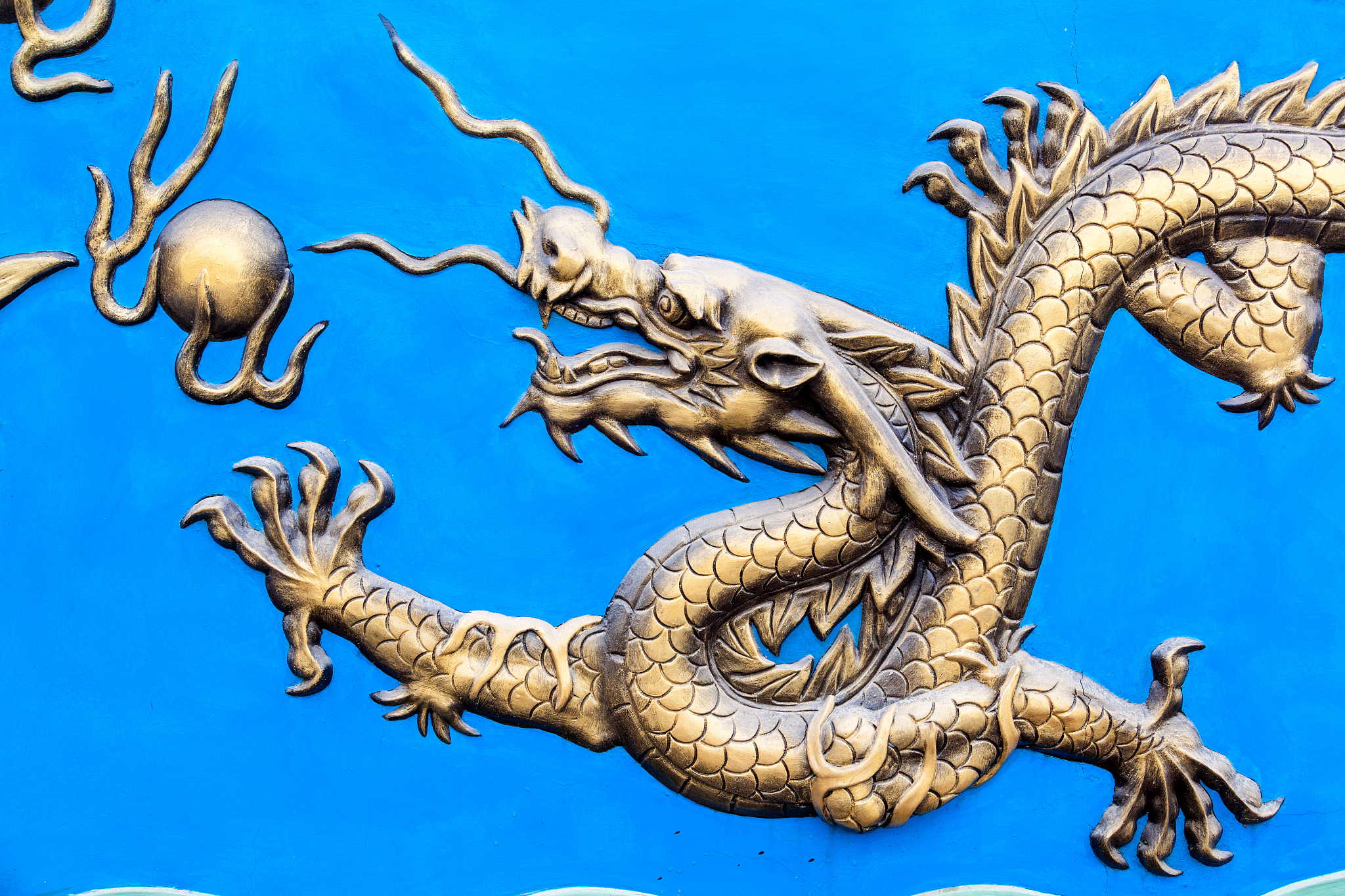 dragon
