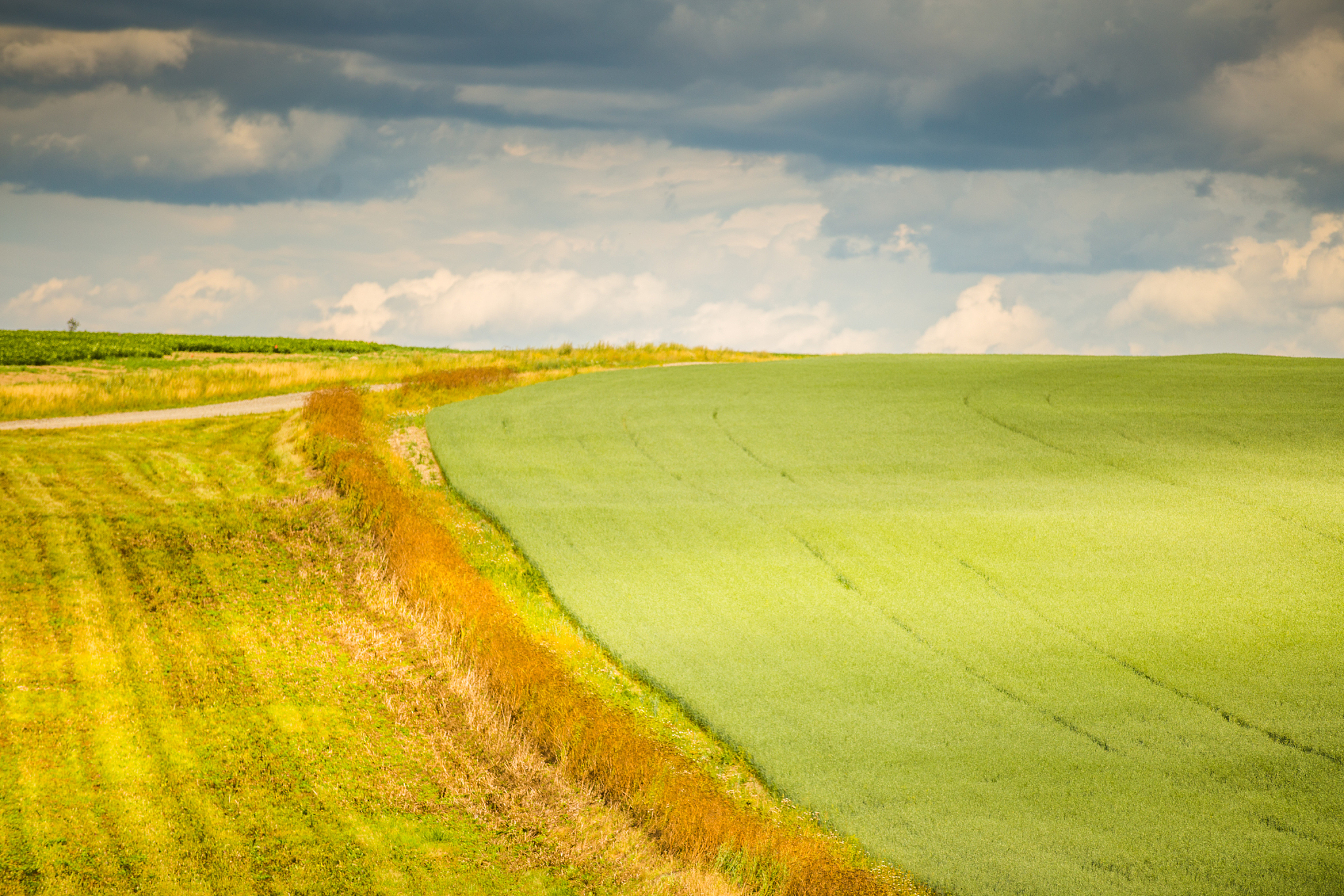山东省烟台农业学校专业详细介绍