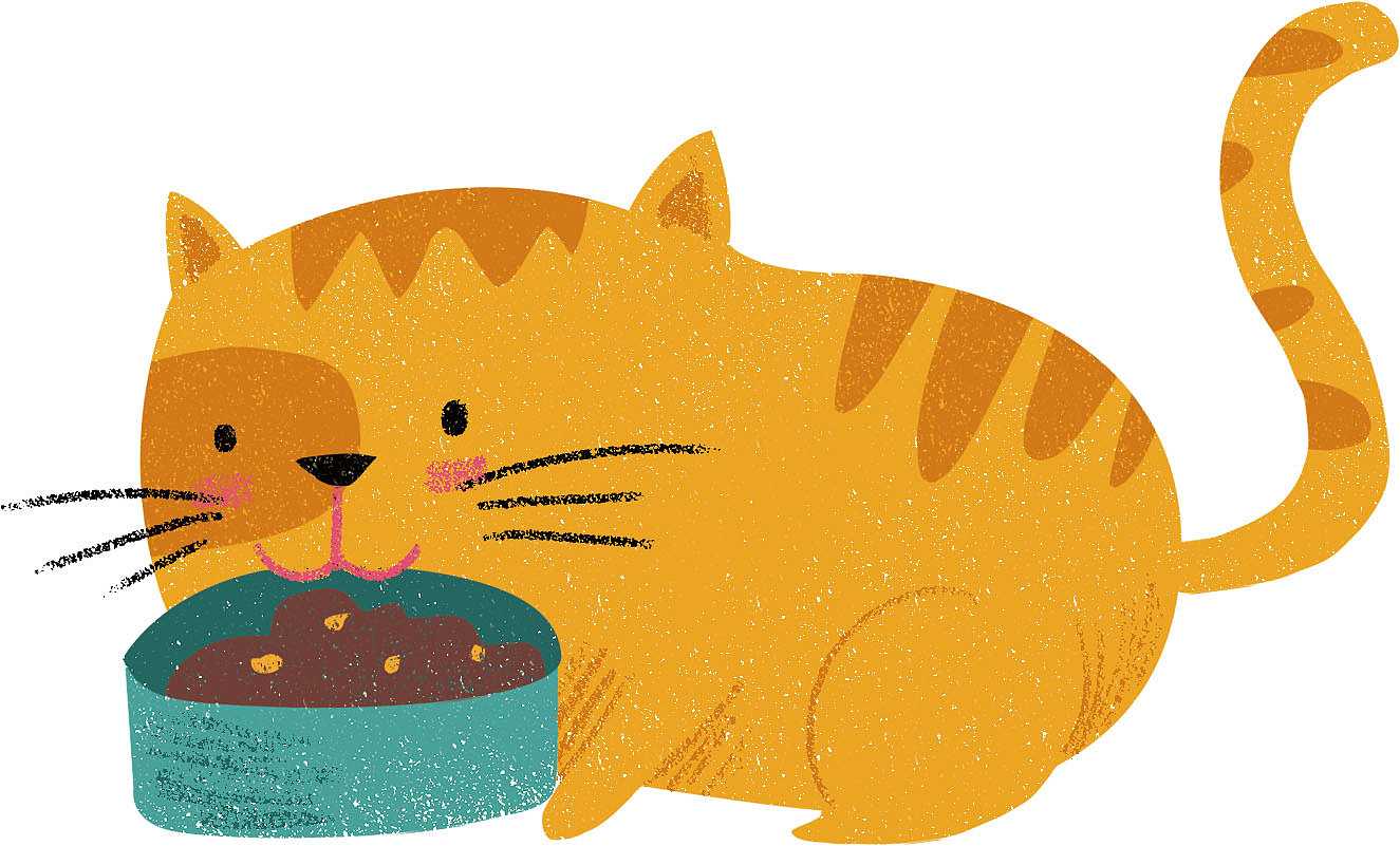 10 Best Foods For Siamese Cats In 2023换一个标题