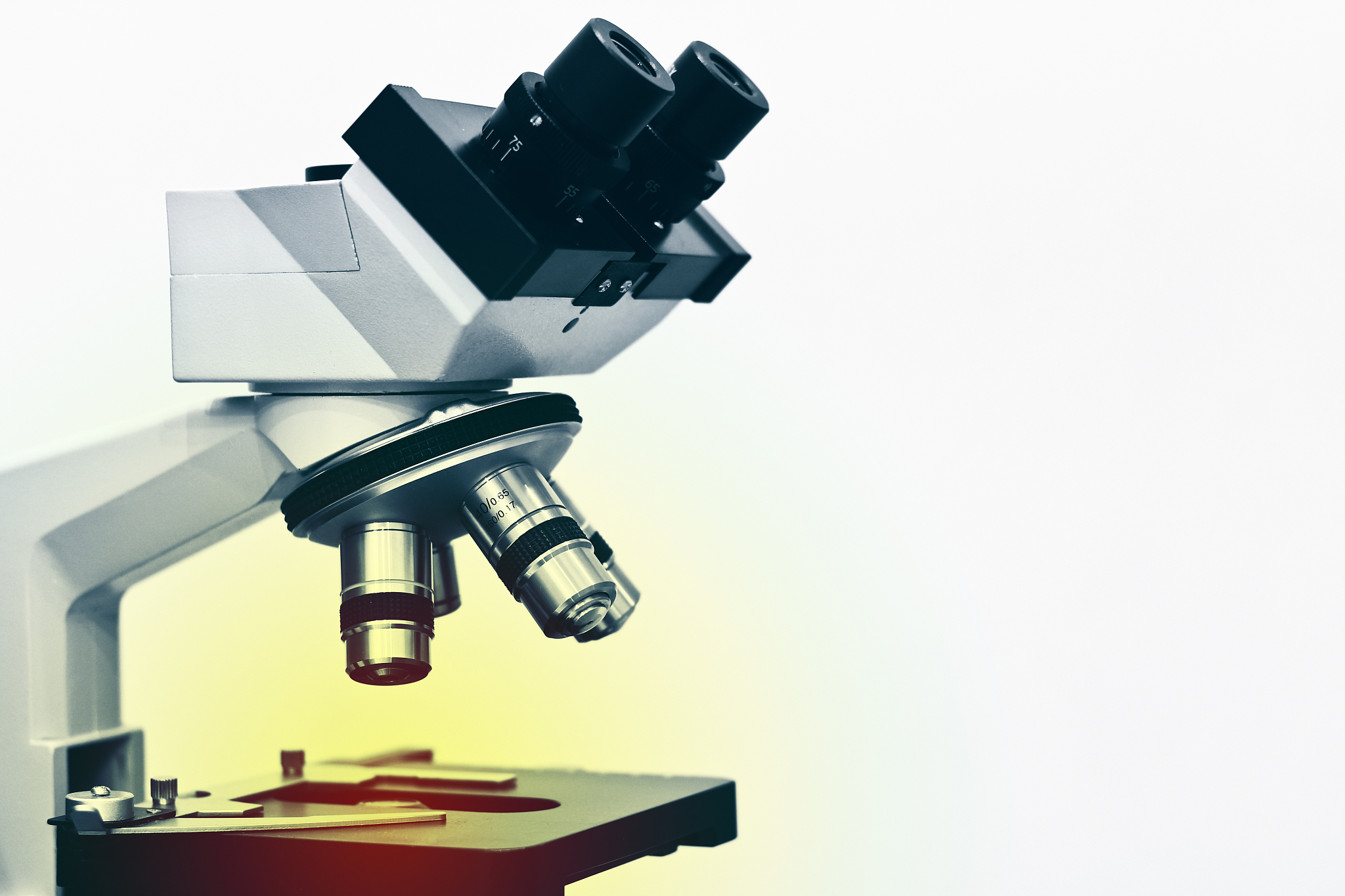 透射电镜发展史：从1931年到诺贝尔奖