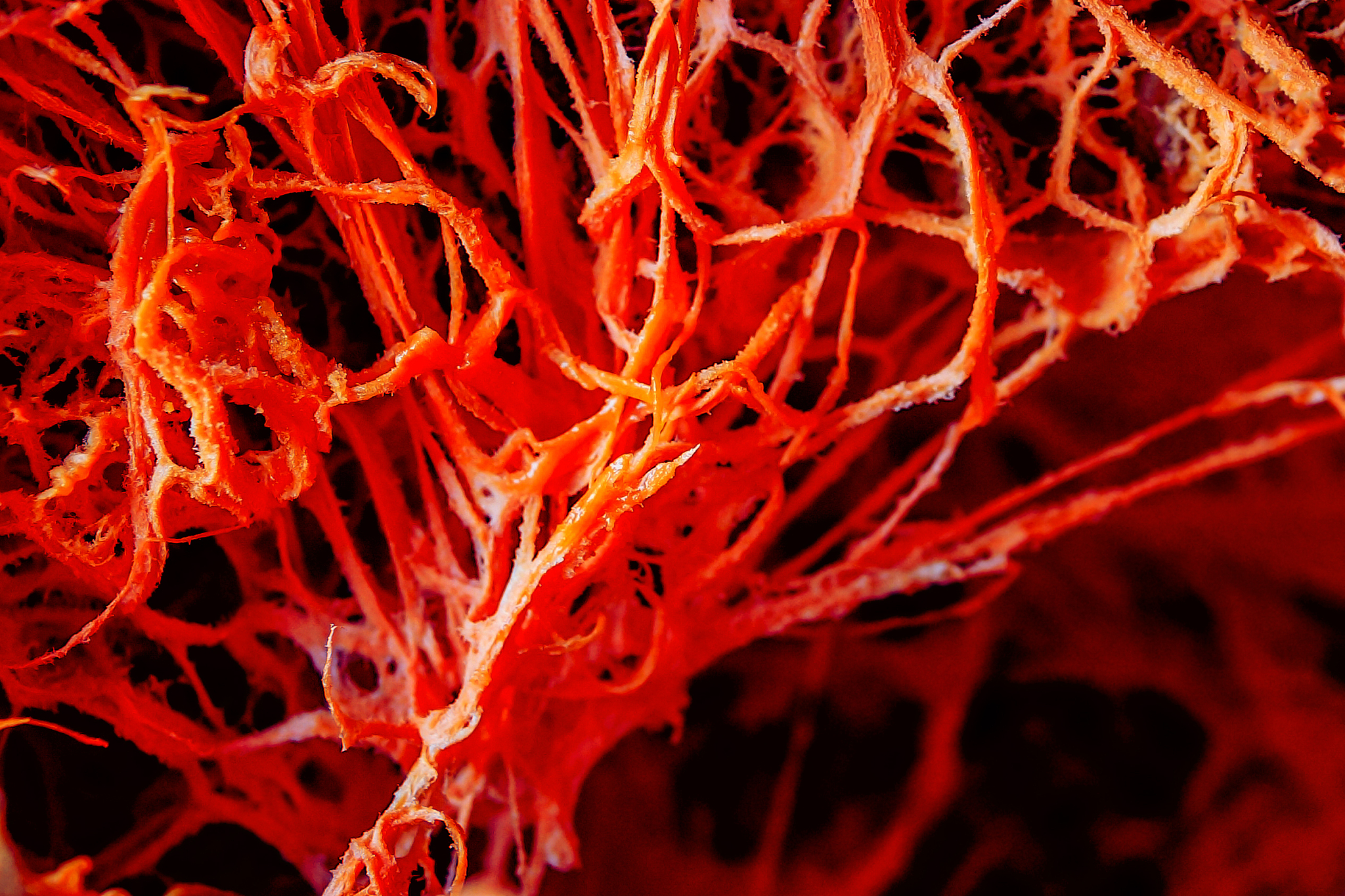 次氯酸钠稀溶液可以消毒餐具吗