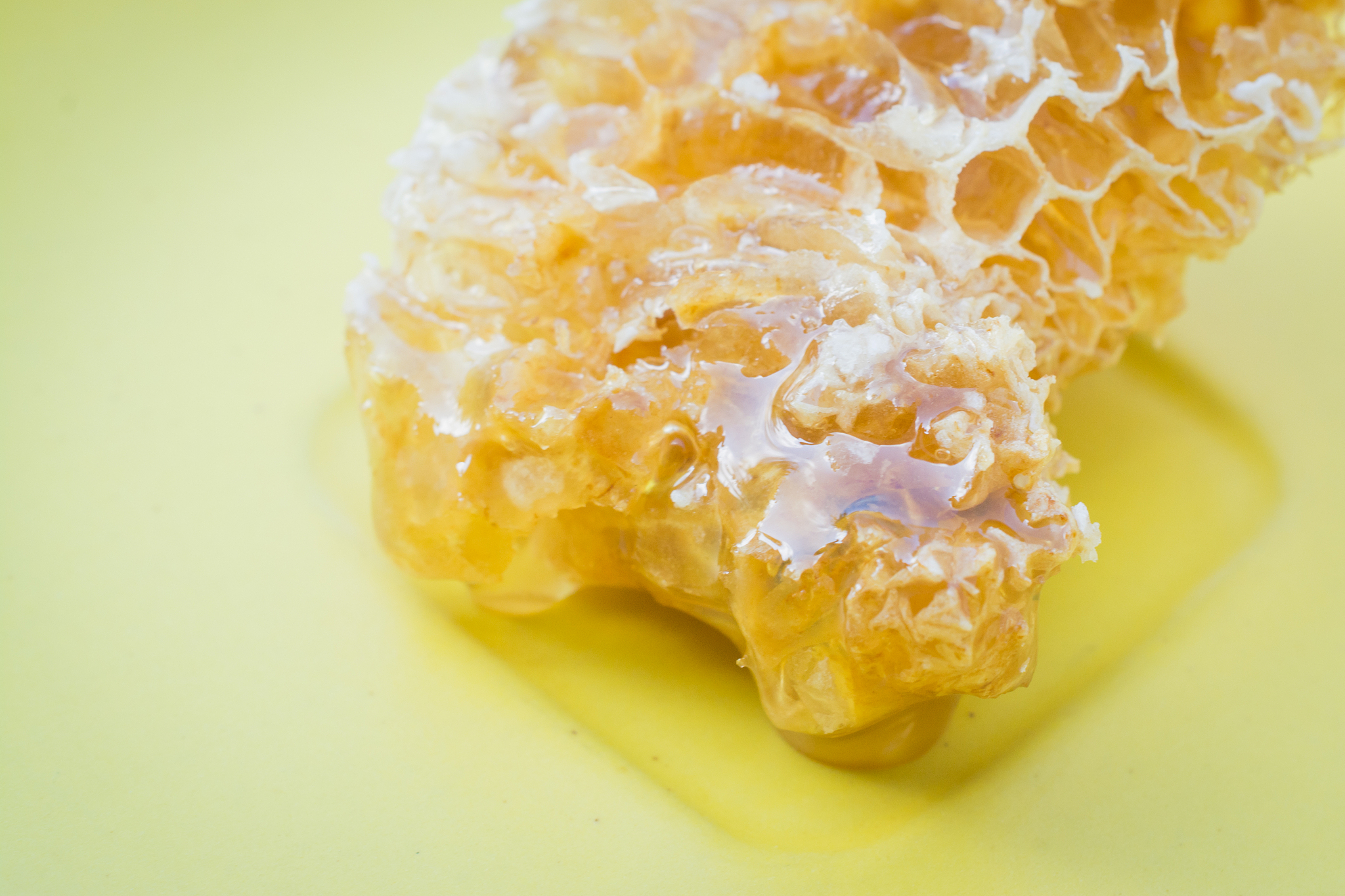 concept of healthy and tasty diet food, yellow honeycomb slice