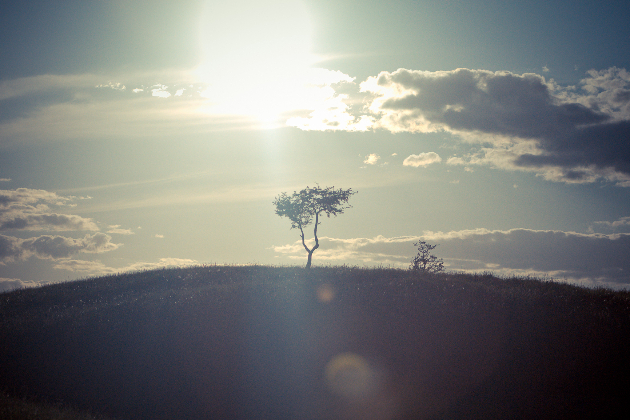 心之所向，彼时为光：放飞心灵，普洒阳光