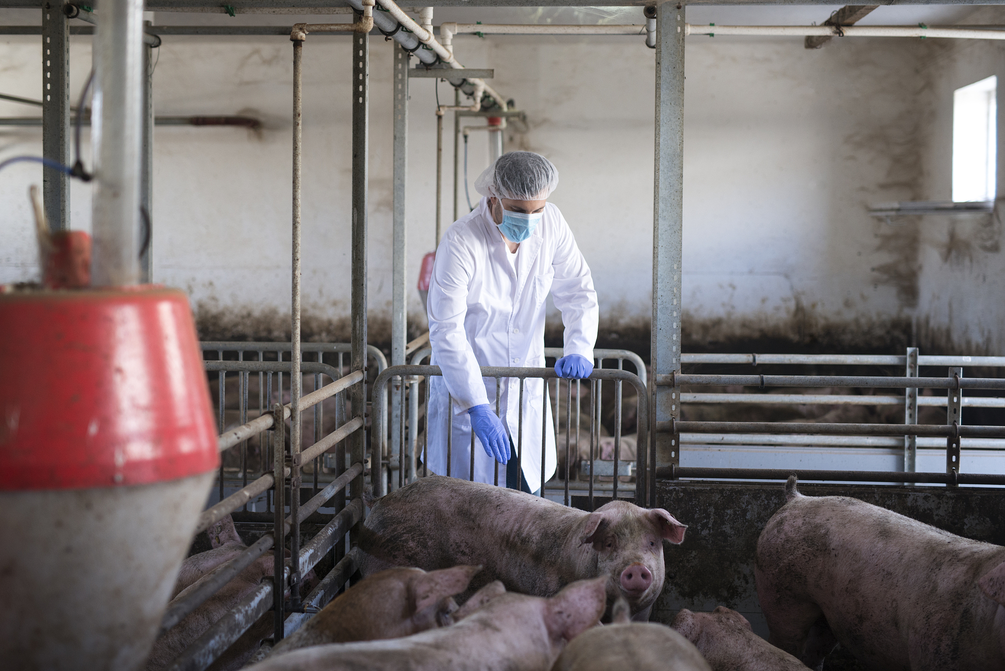 读畜牧兽医专业就业前景怎么样