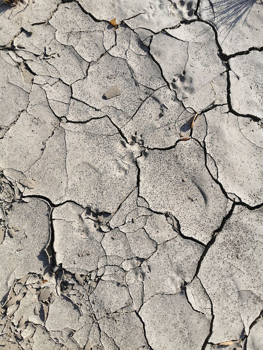 土地规划必备信息系统：从资源管理到环境监测