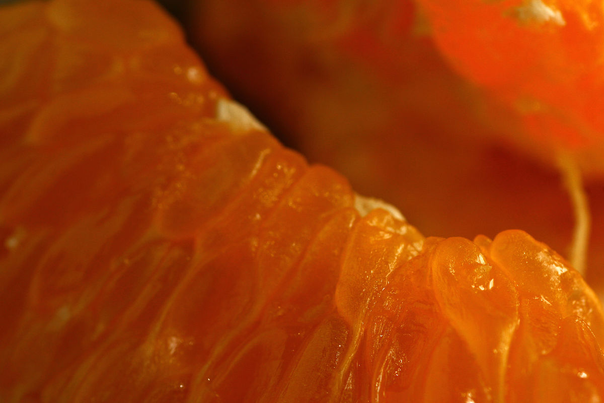 VB 打开带有宏的Excel执行函数