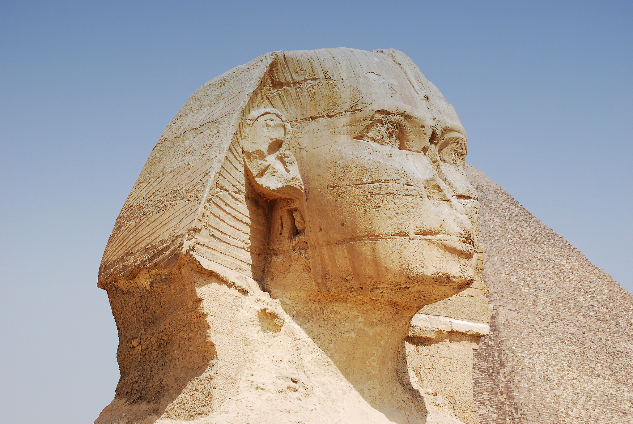 the great sphinx in cairo. giza, egypt