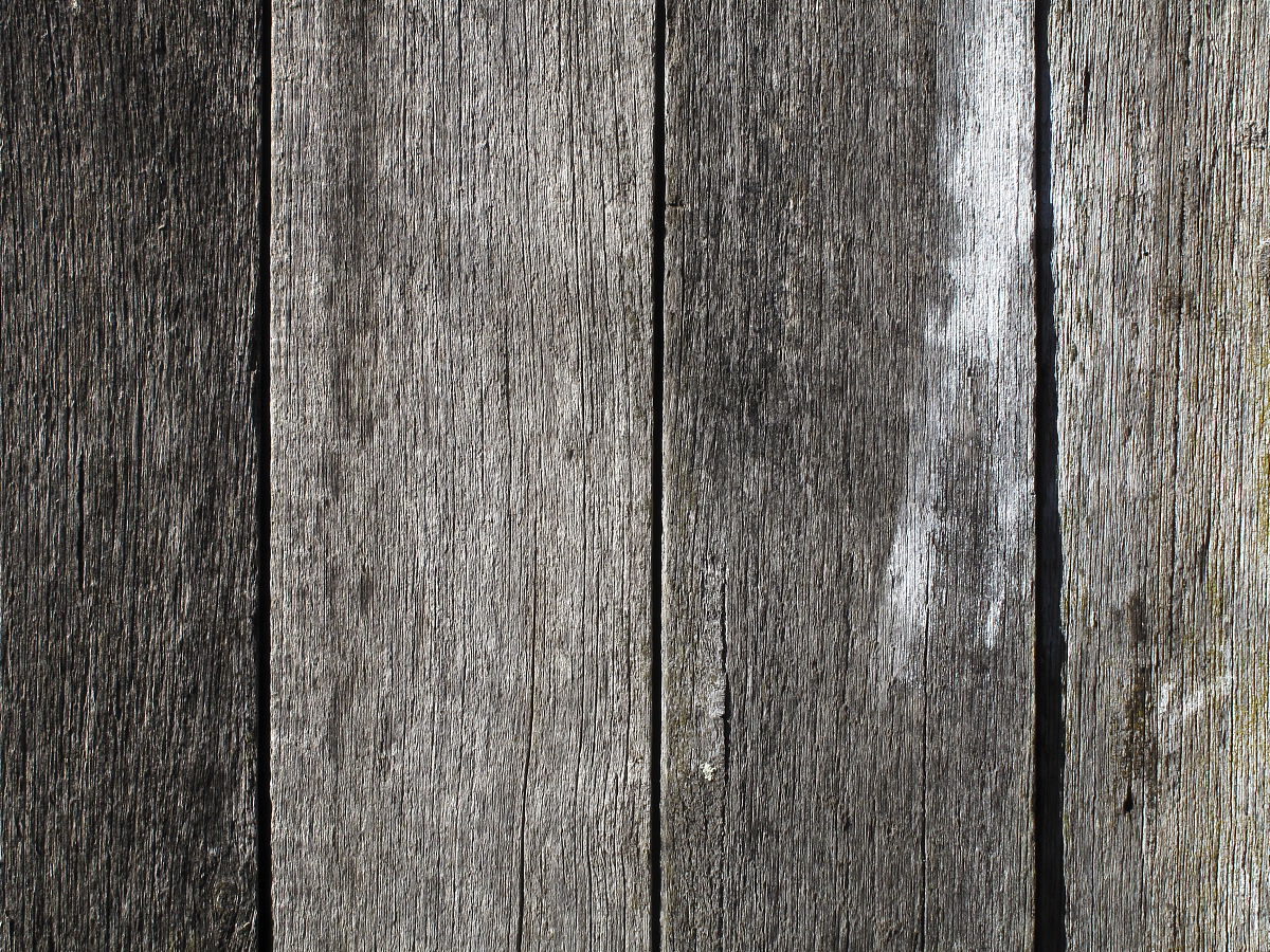 通过照片判断岩体风化情况：岩土工程勘察可行性研究阶段