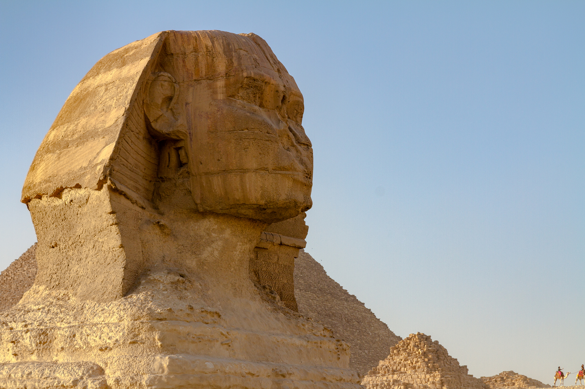 the head of the great sphinx at the great pyramids of giza