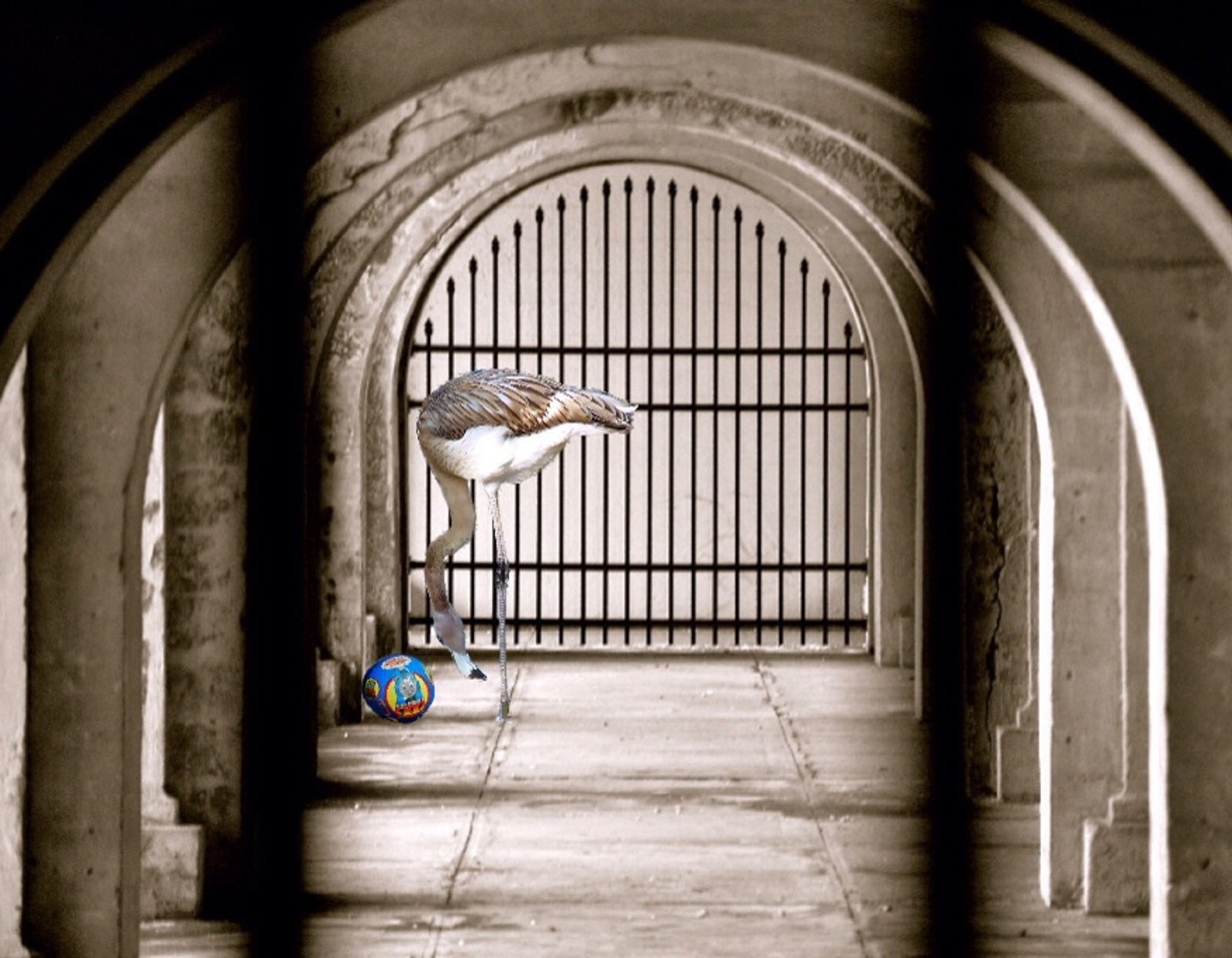 卡夫卡的'一只笼子寻找一只鸟'：对人类存在、意义和自由的深刻思考