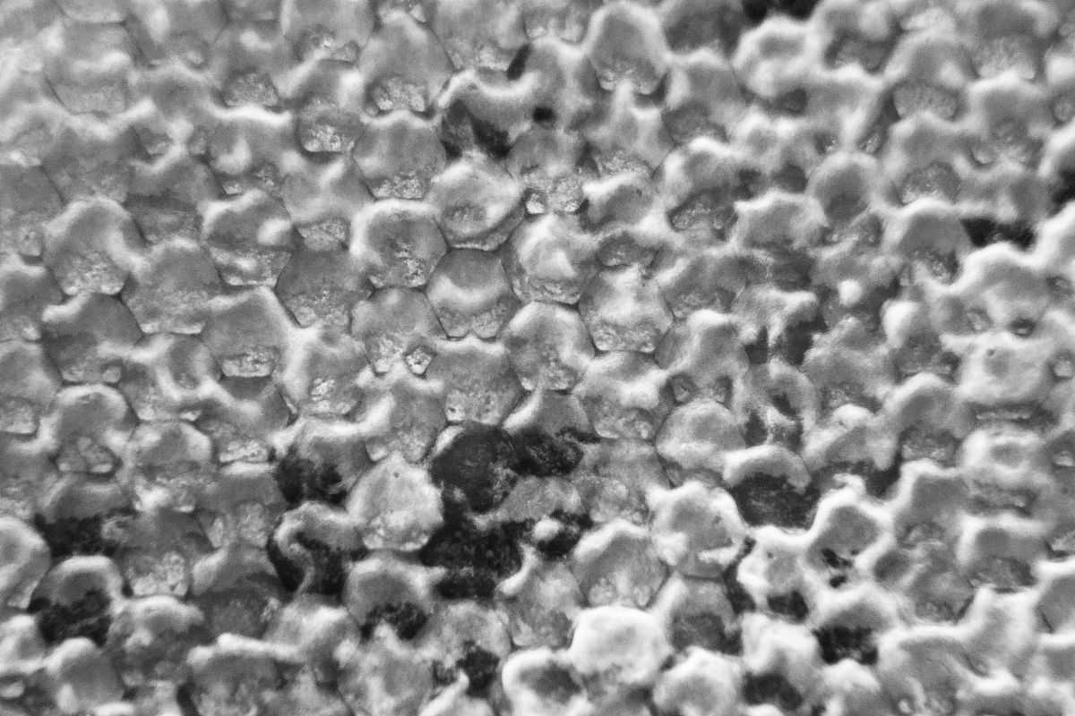 聚合物抗氯盐研究实例：聚乙烯醇和聚丙烯酰胺水凝胶