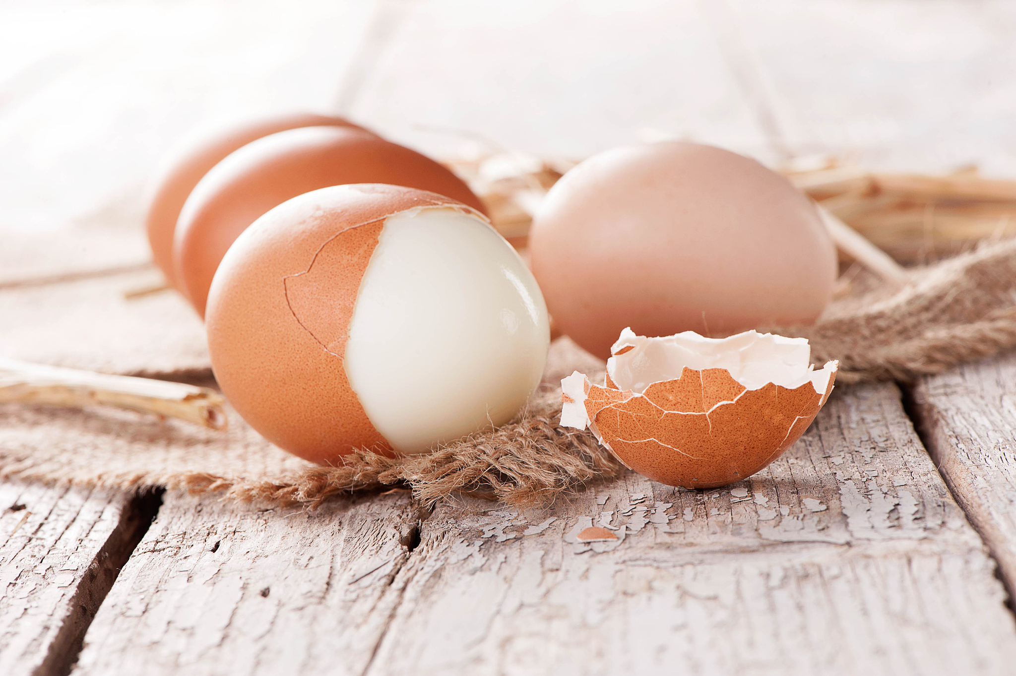 fresh eggs