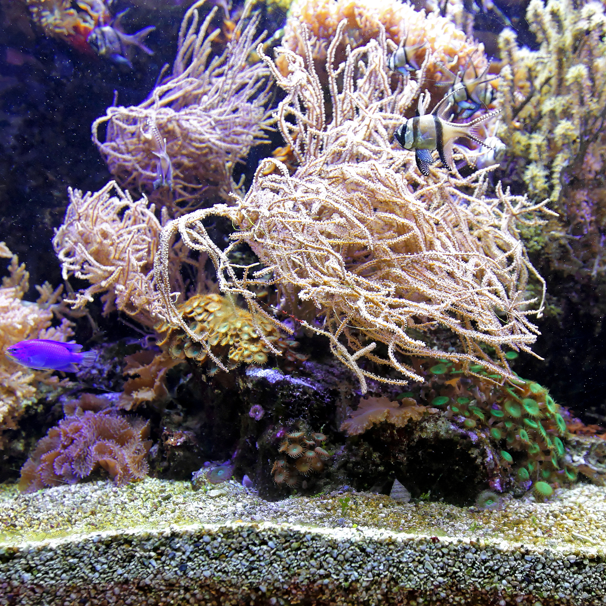 海洋学：探索海洋奥秘的综合学科