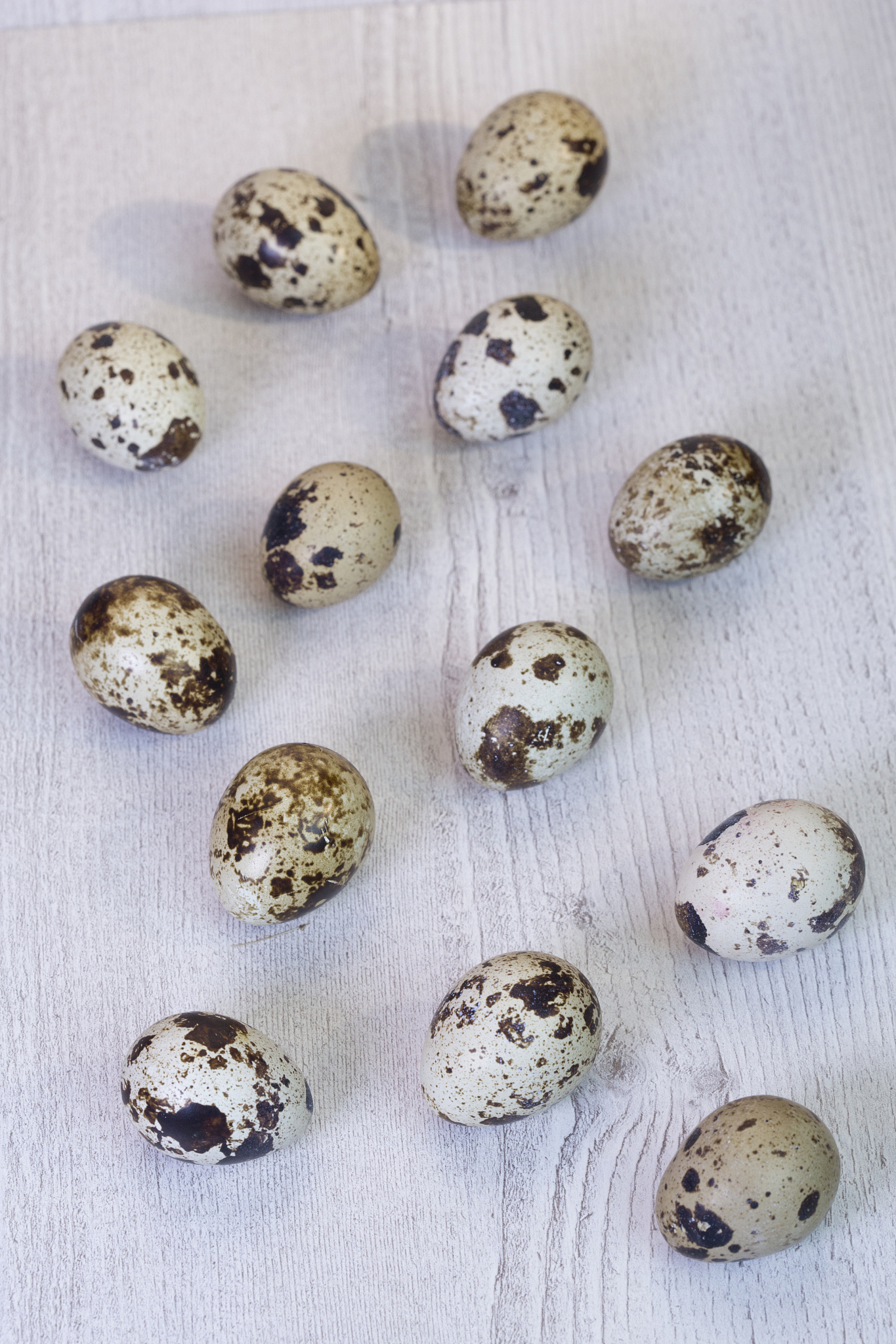 秦皇岛市卫生学校2022年招生简章-好麽