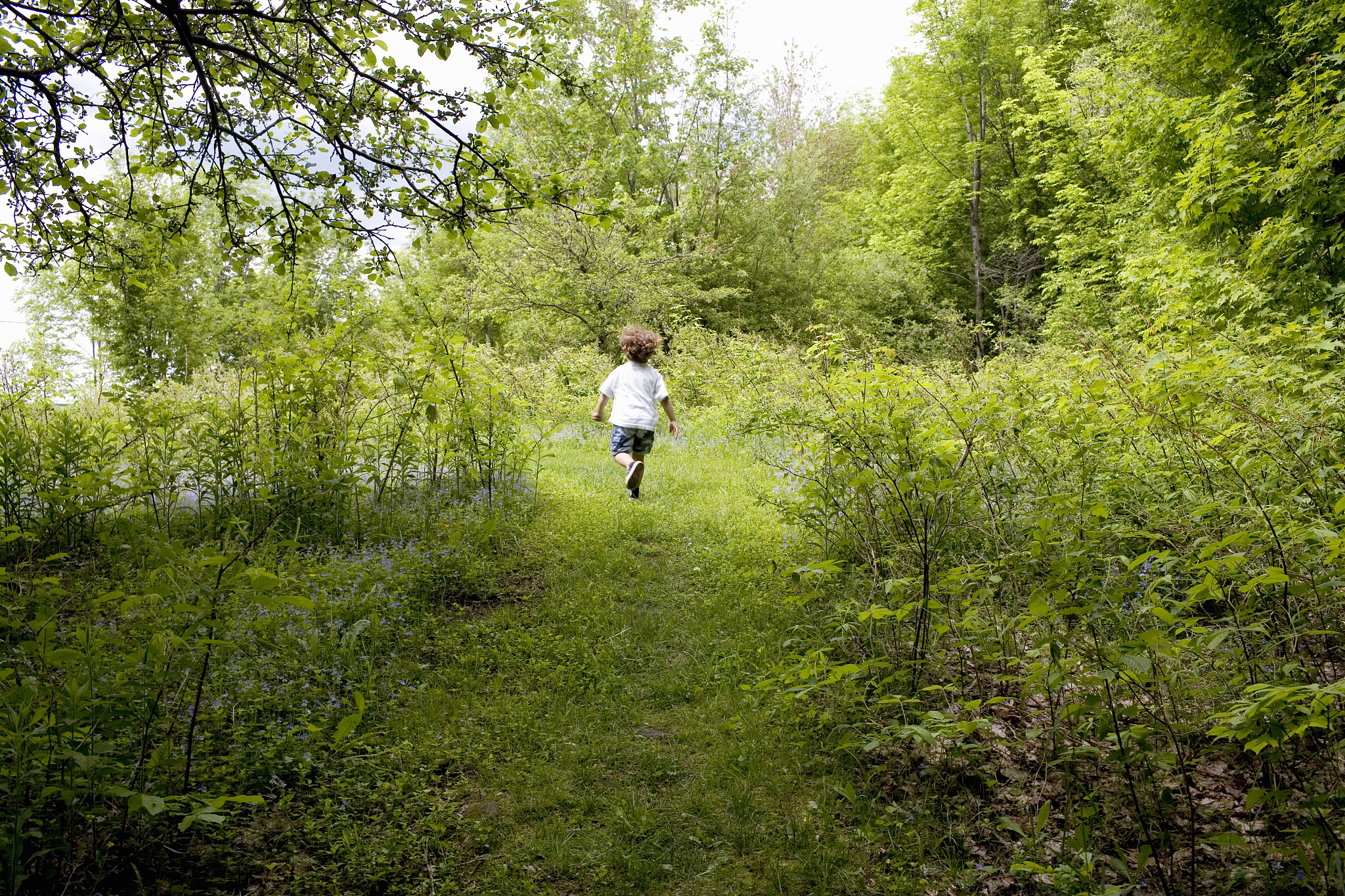 湖南高速铁路职业技术学院2022年3+2五年制大专简章