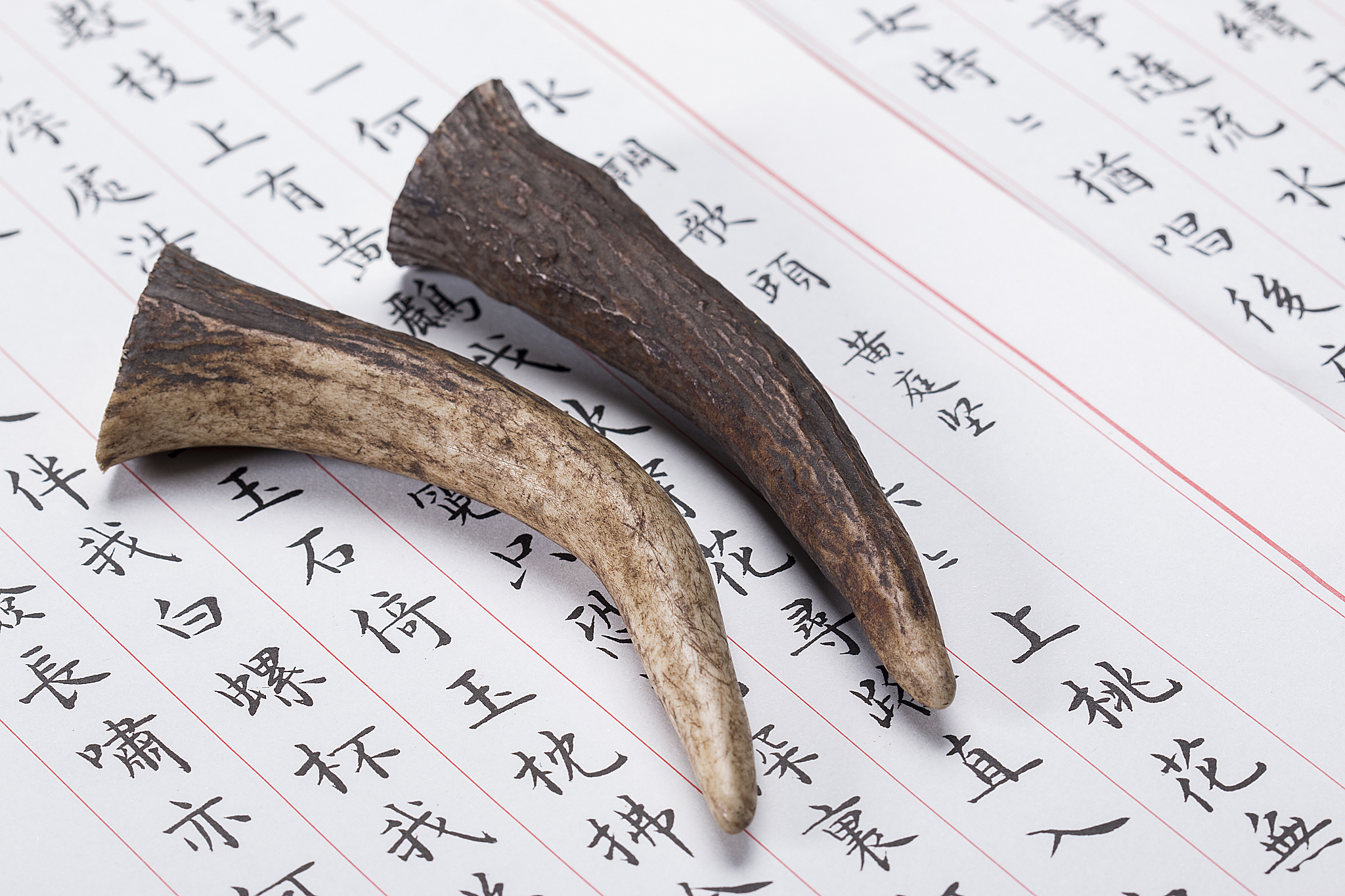 2022年贵州毕节卫生学校中医专业招生简章