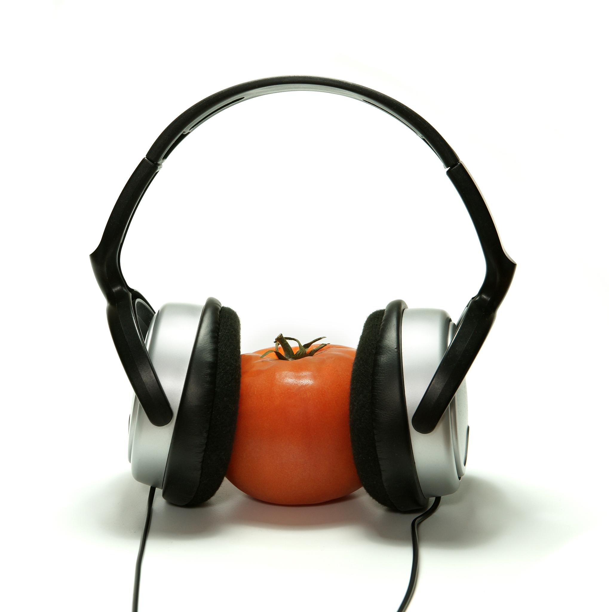 周口职业技术学院音乐教育