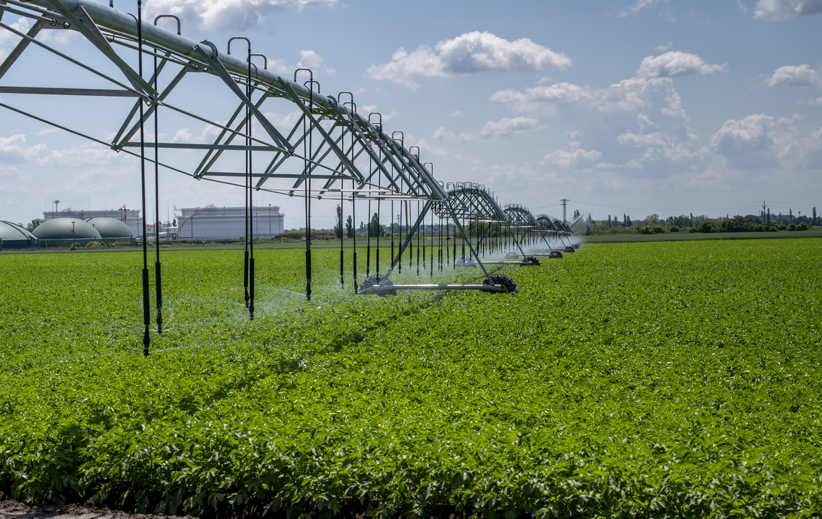 四川省农业广播电视学校设施农业生产技术专业课程设置有哪些
