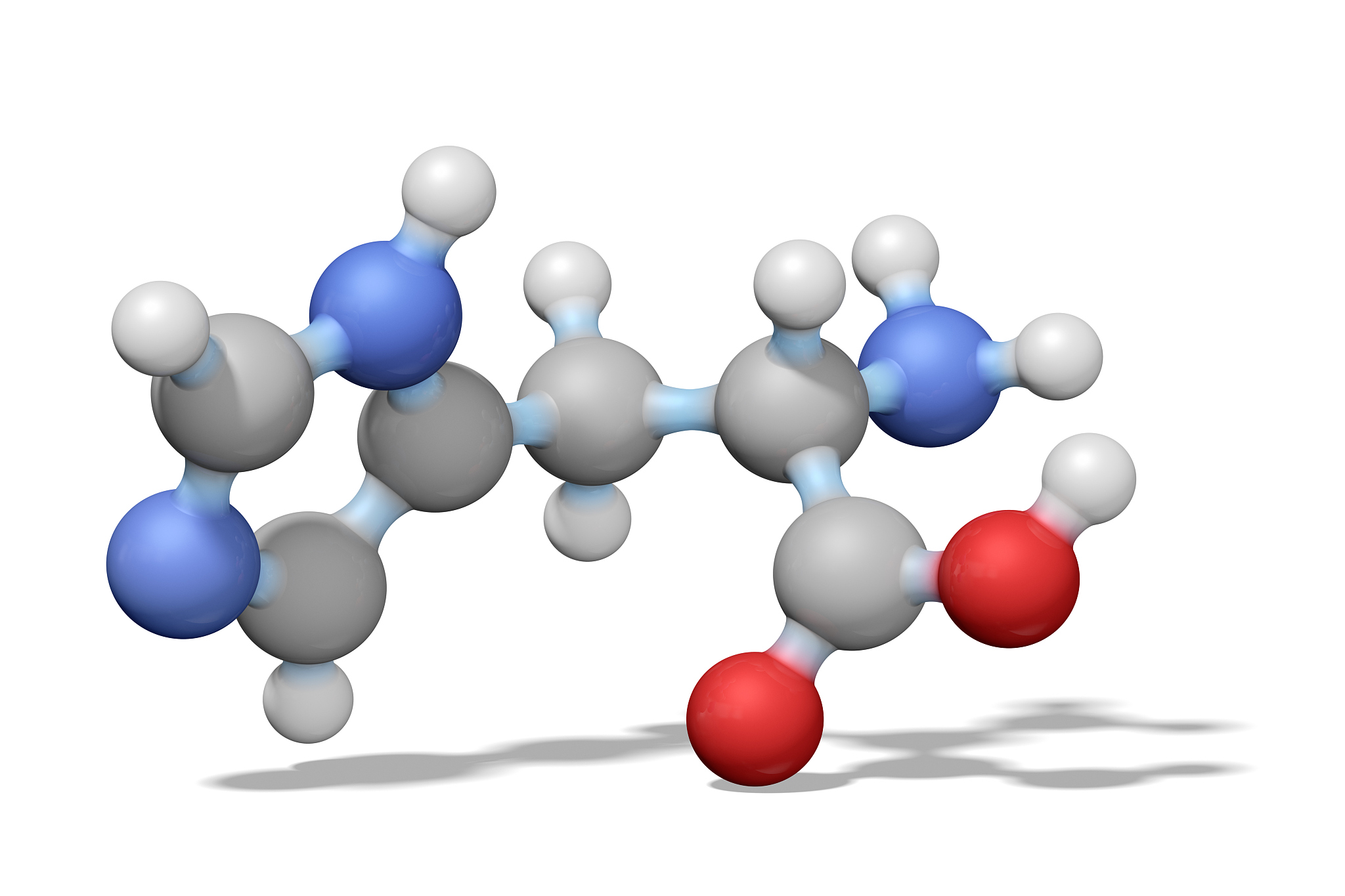 amino acid histidine