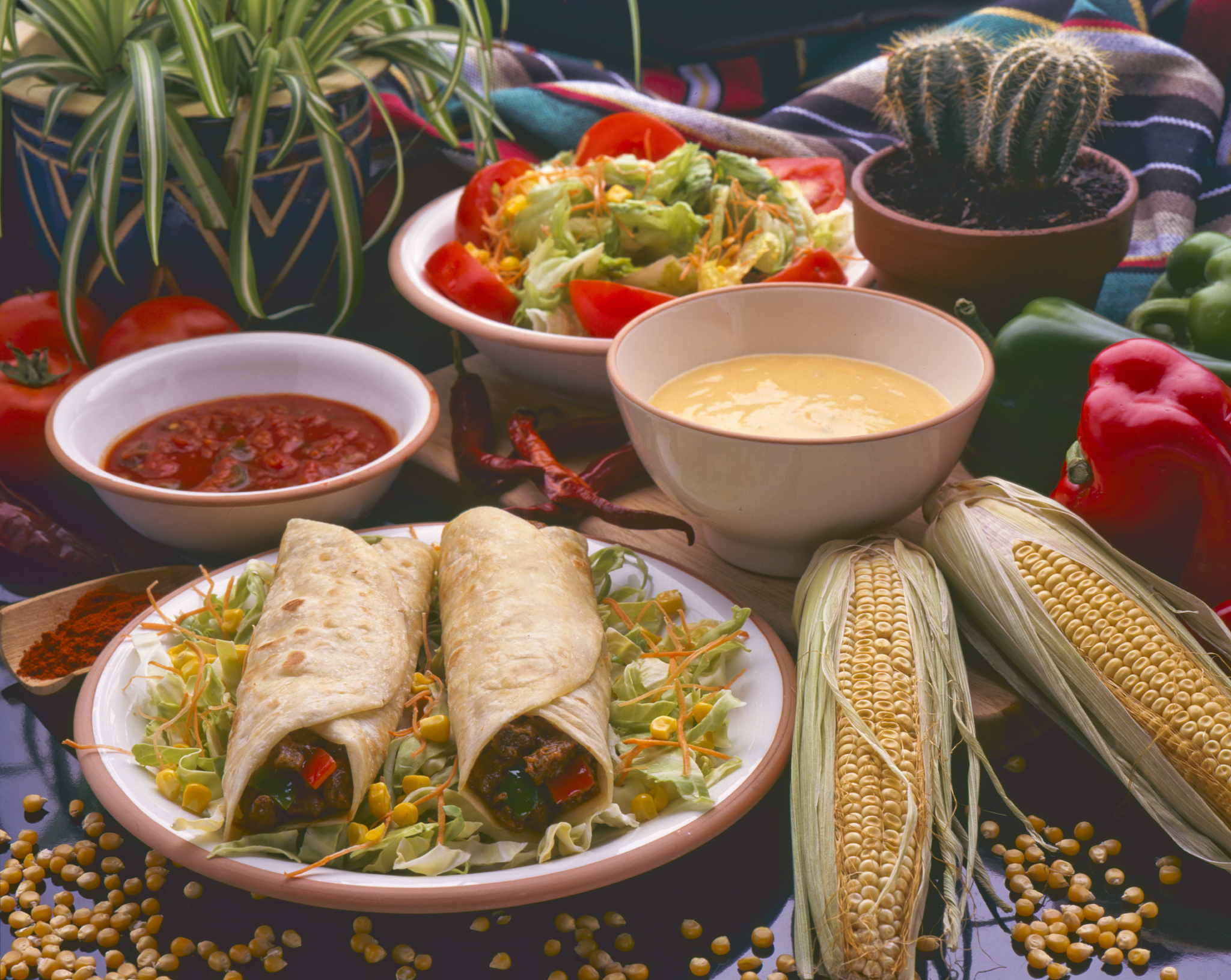 tex mex food.