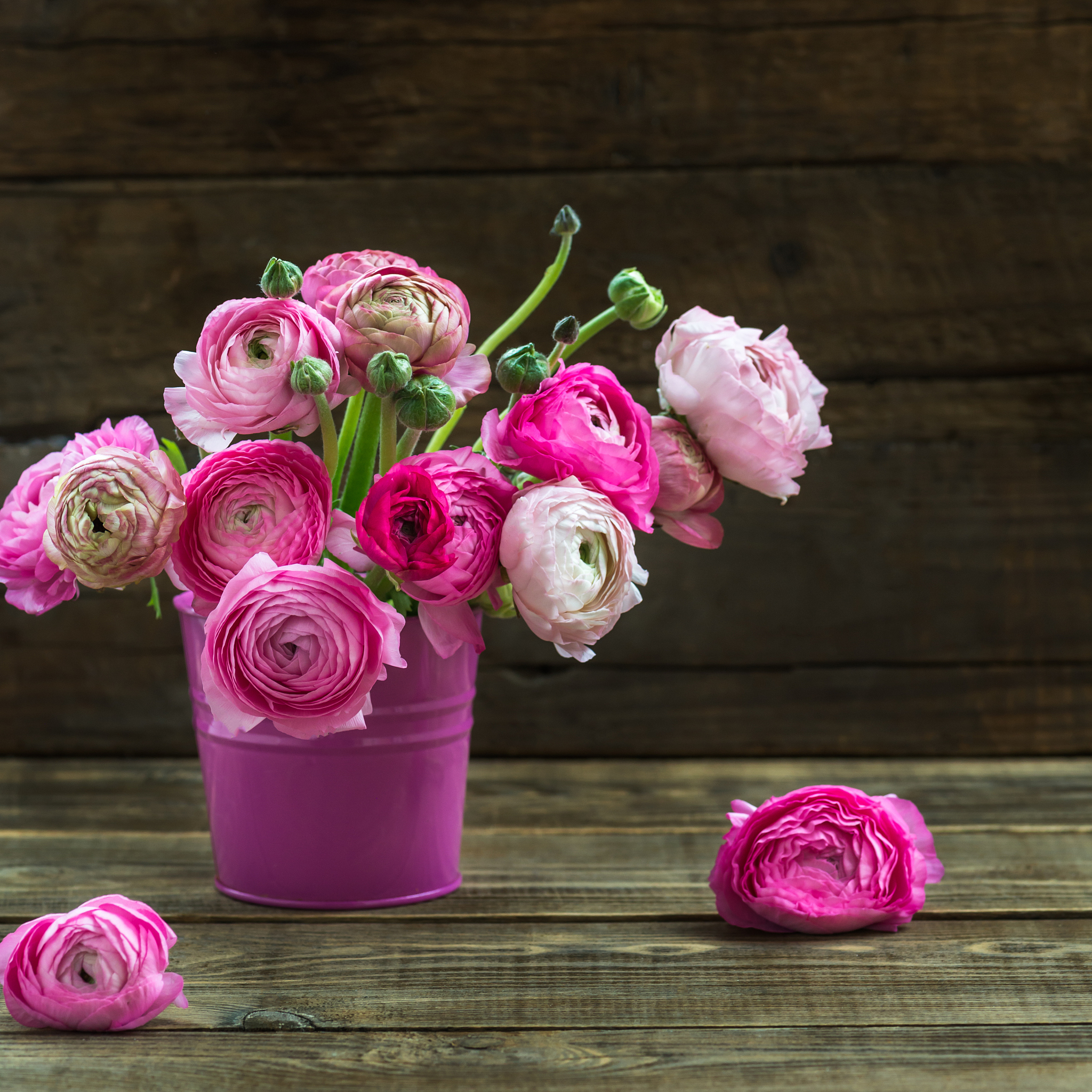 Realistic Silk Rose Petals: Perfect for Decorations and Crafts