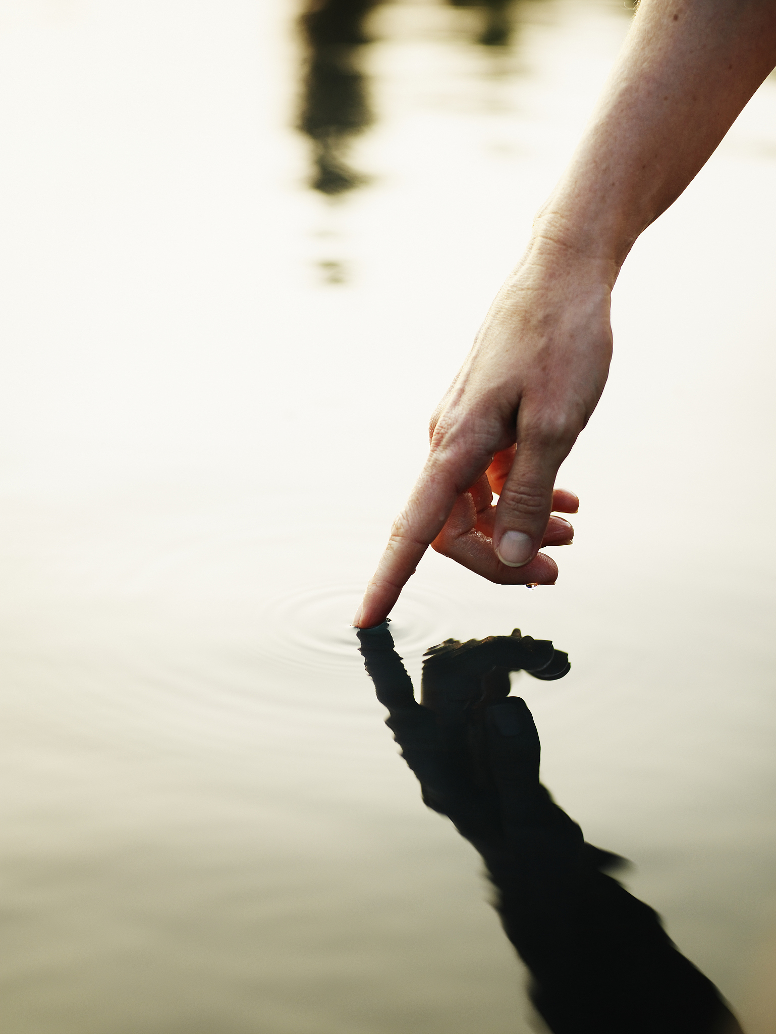 牵手摄影作品分析：爱与温暖的瞬间